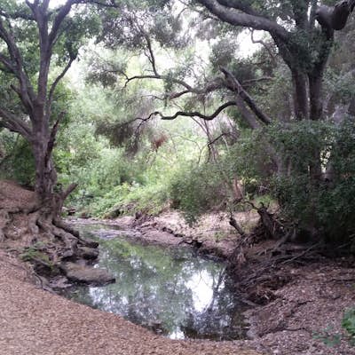 Hike to the Rope Swing in Tecolote Canyon