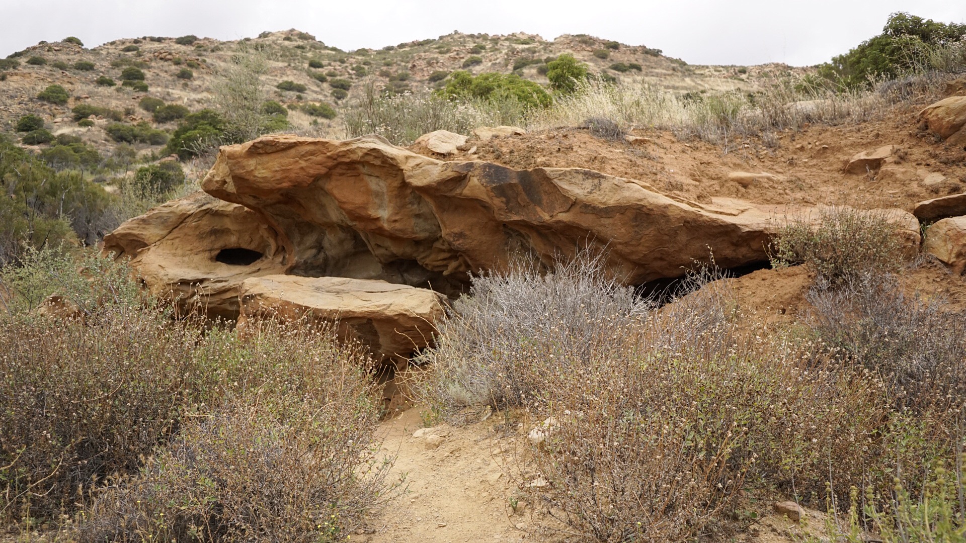 China Flat Trail to Simi Peak