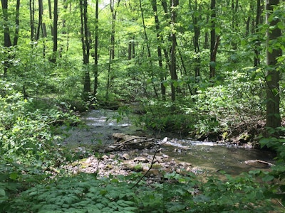 Hike the Bear Run Nature Reserve Loop, Bear Run Nature Center