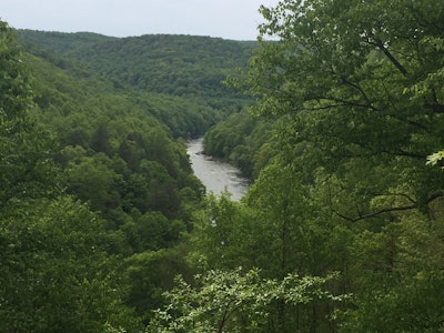 Hike the Bear Run Nature Reserve Loop, Bear Run Nature Center