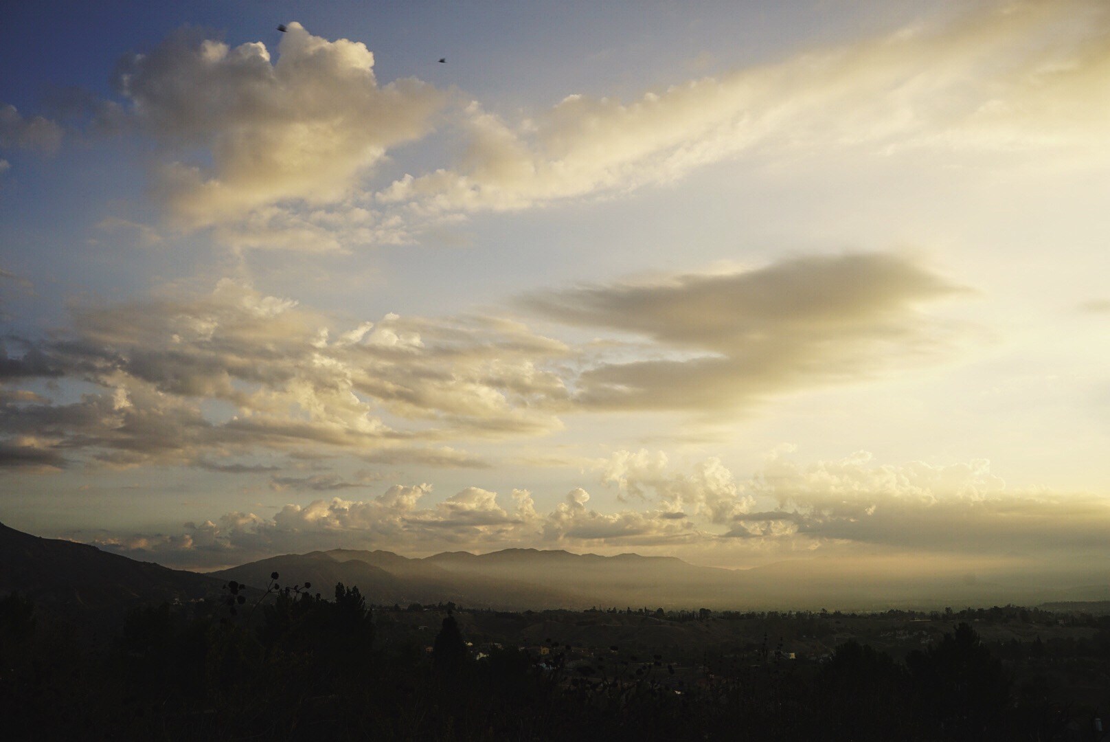 Reseda Point