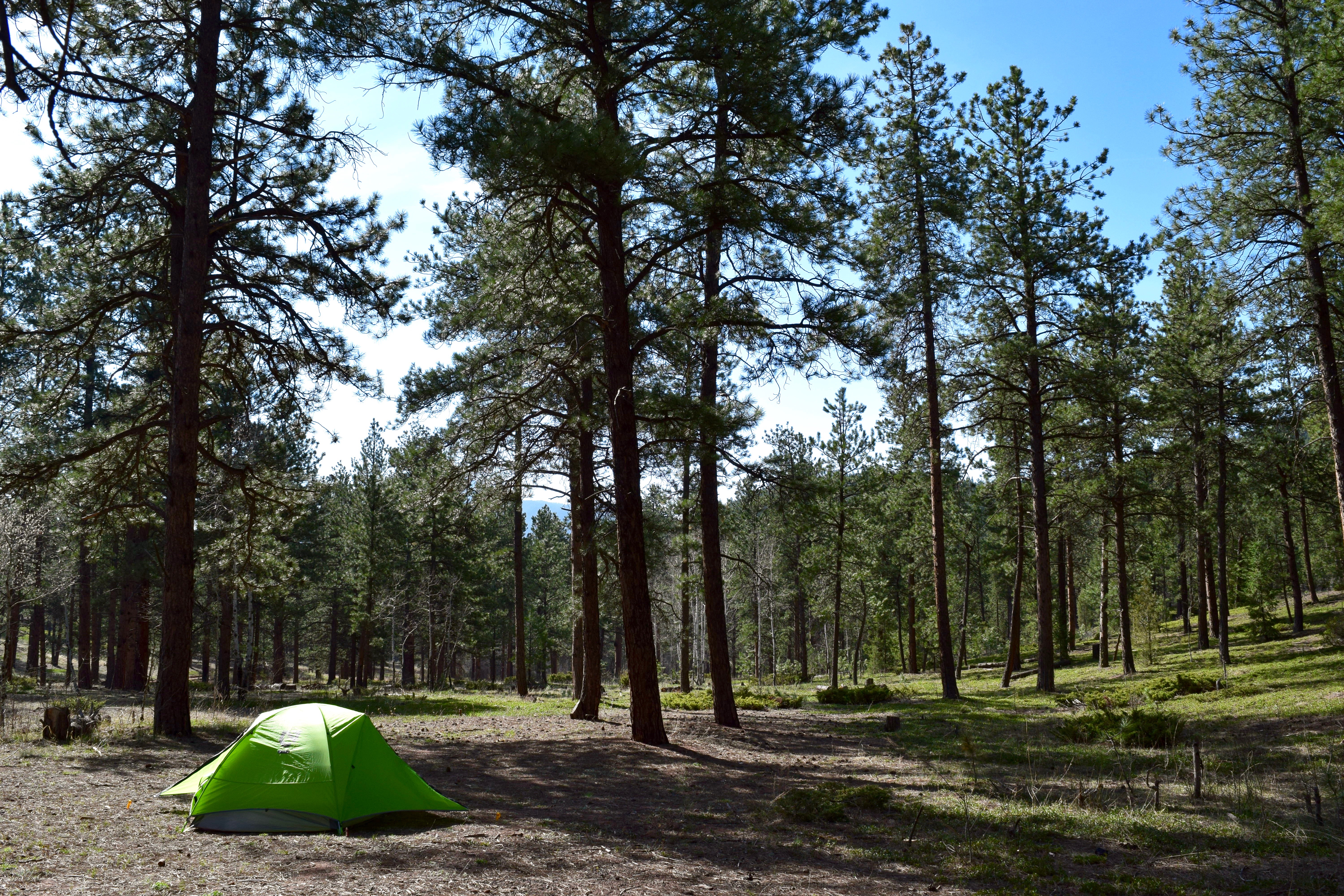 Dispersed Camp at the Buffalo Creek Area in Pike National Forest
