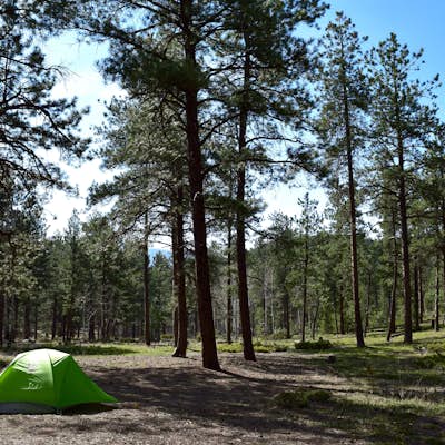 Dispersed Camp at the Buffalo Creek Area in Pike National Forest
