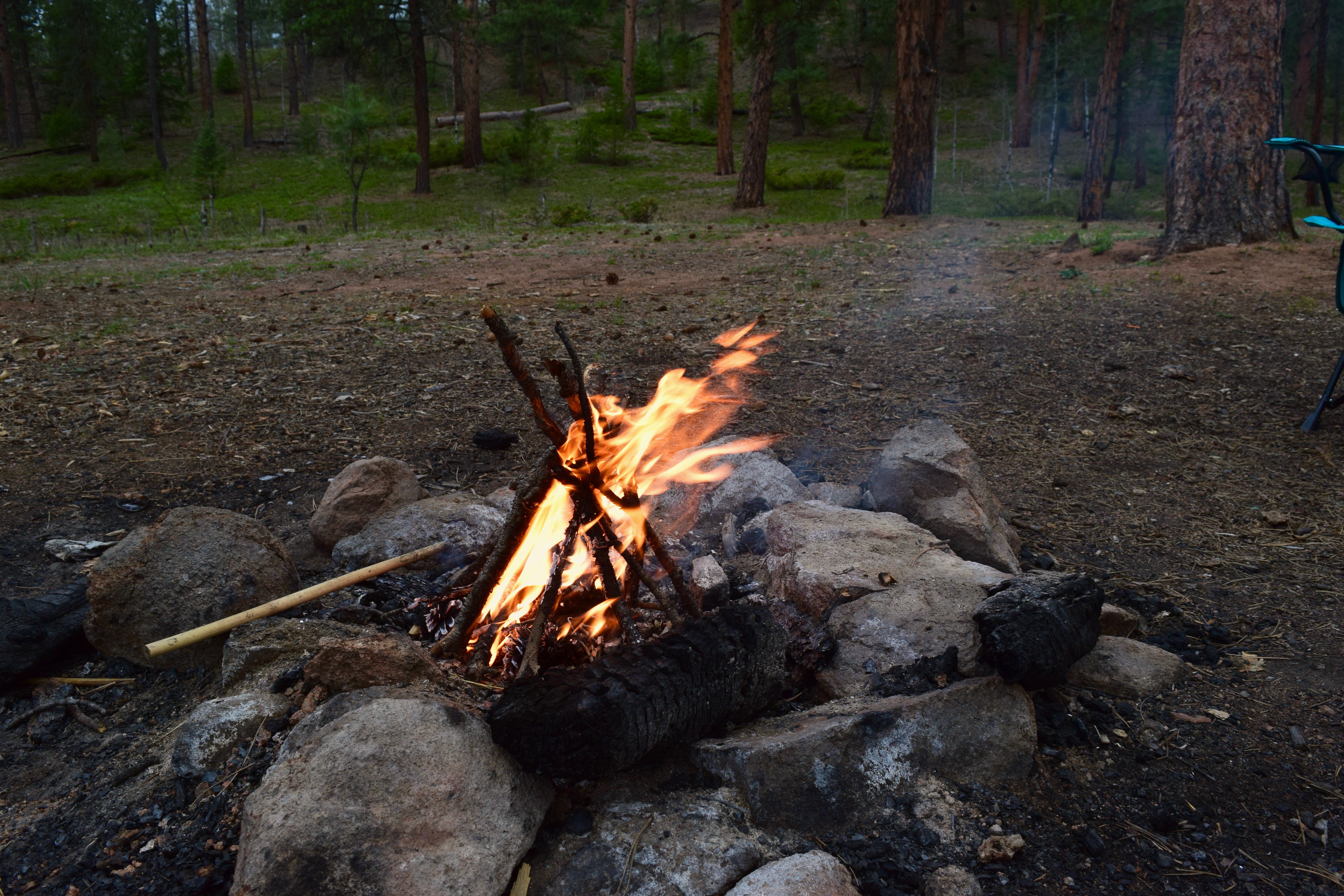 Dispersed Camp at the Buffalo Creek Area in Pike National Forest