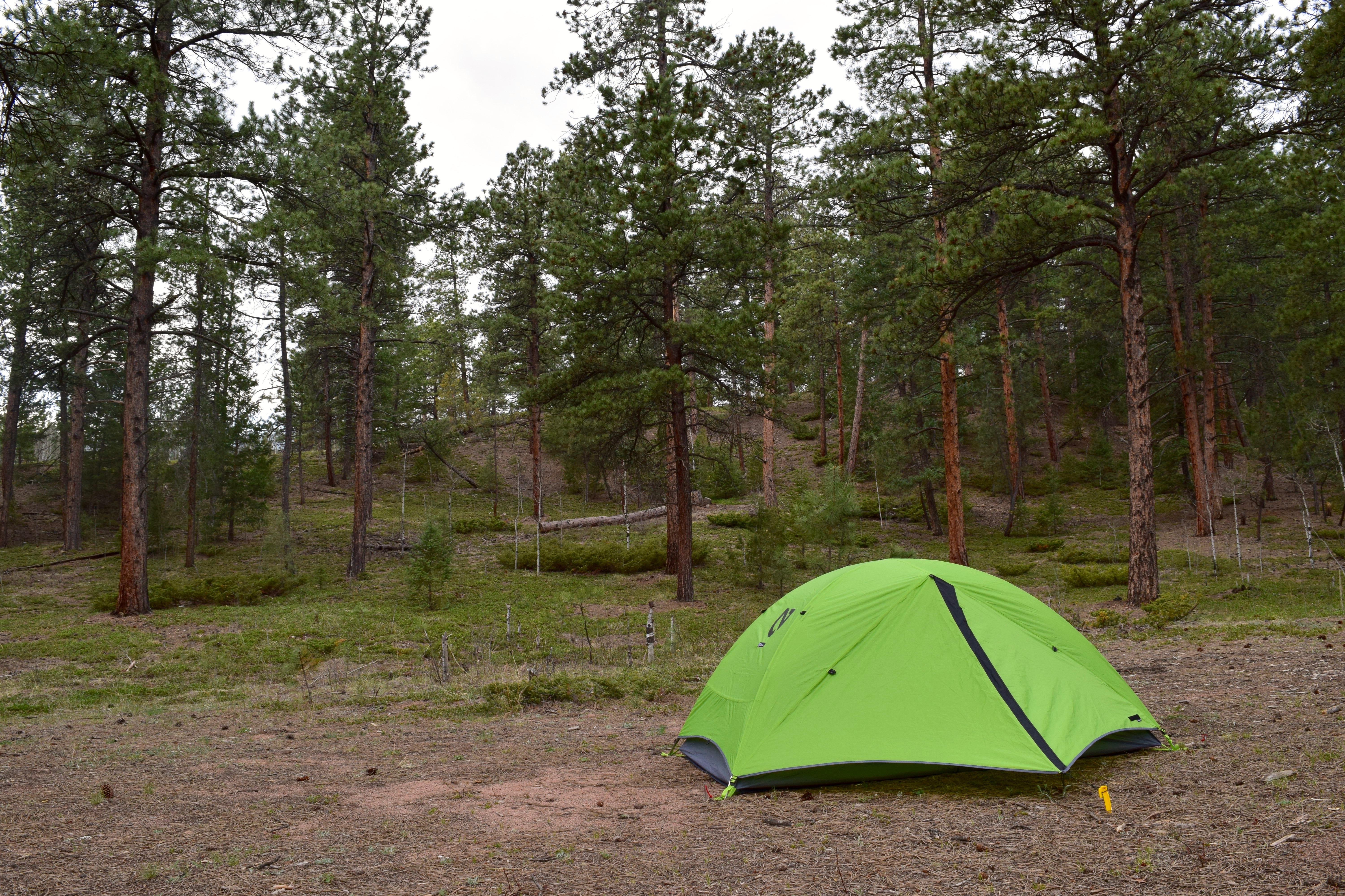 Dispersed Camp at the Buffalo Creek Area in Pike National Forest