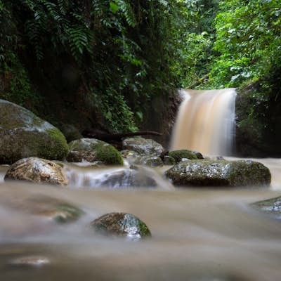 Explore La Chimosa in Podocarpus National Park