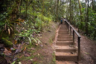 Explore La Chimosa in Podocarpus National Park