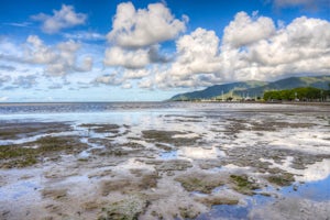 Relax at Cairns Esplanade