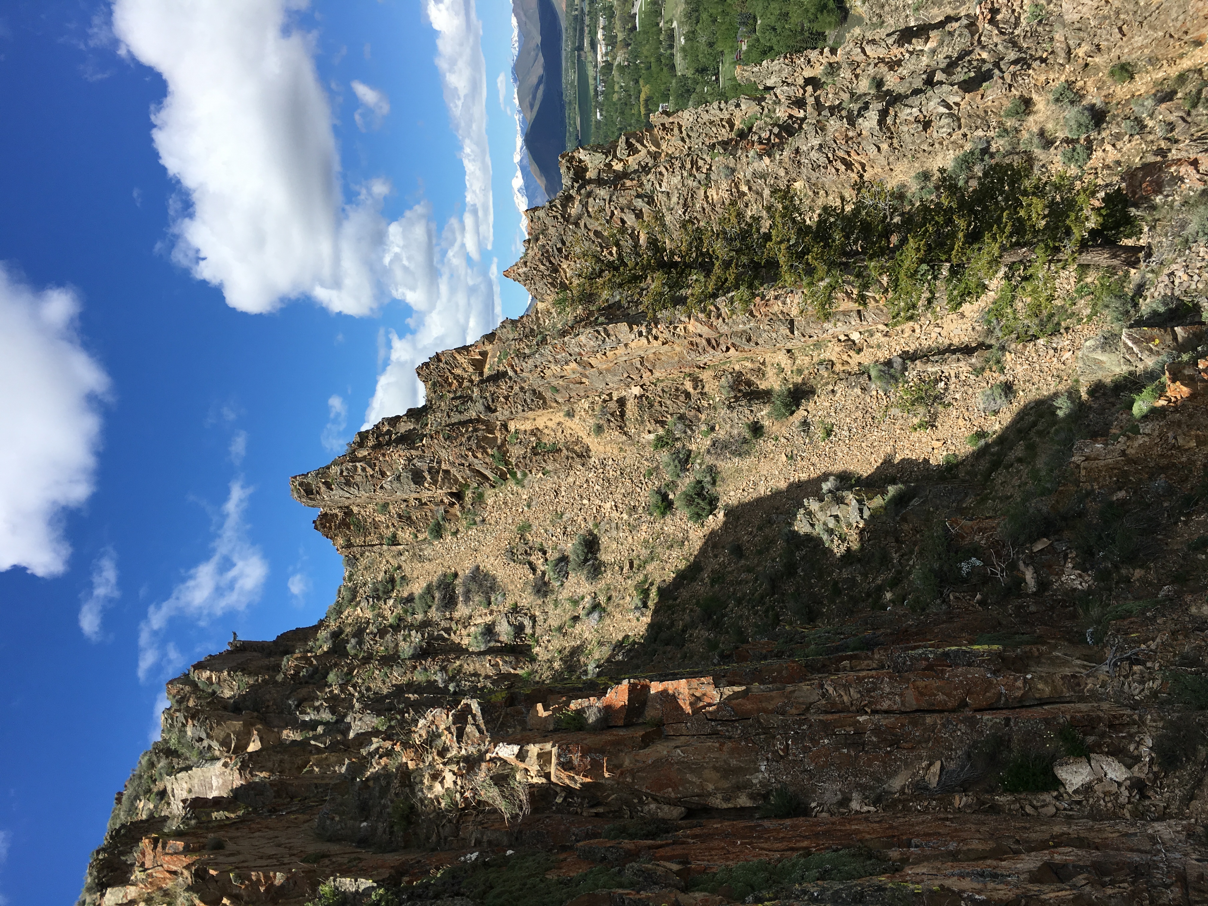 Hike Carbonate Mountain