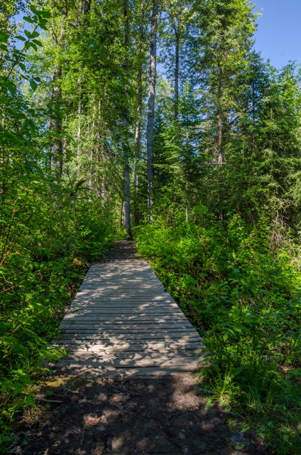 Explore Hixon Falls