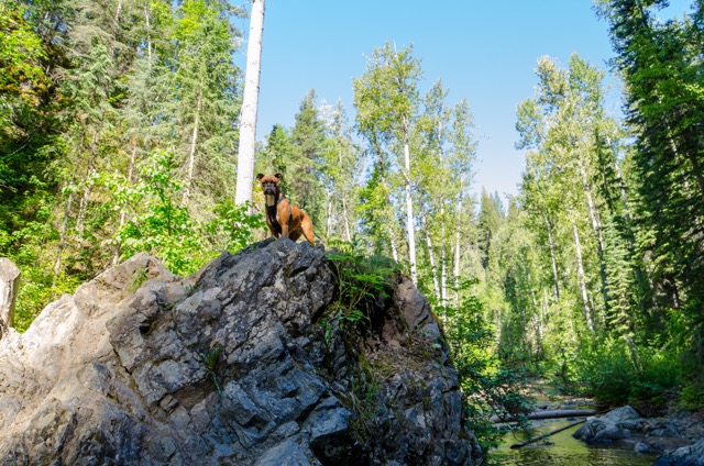 Explore Hixon Falls