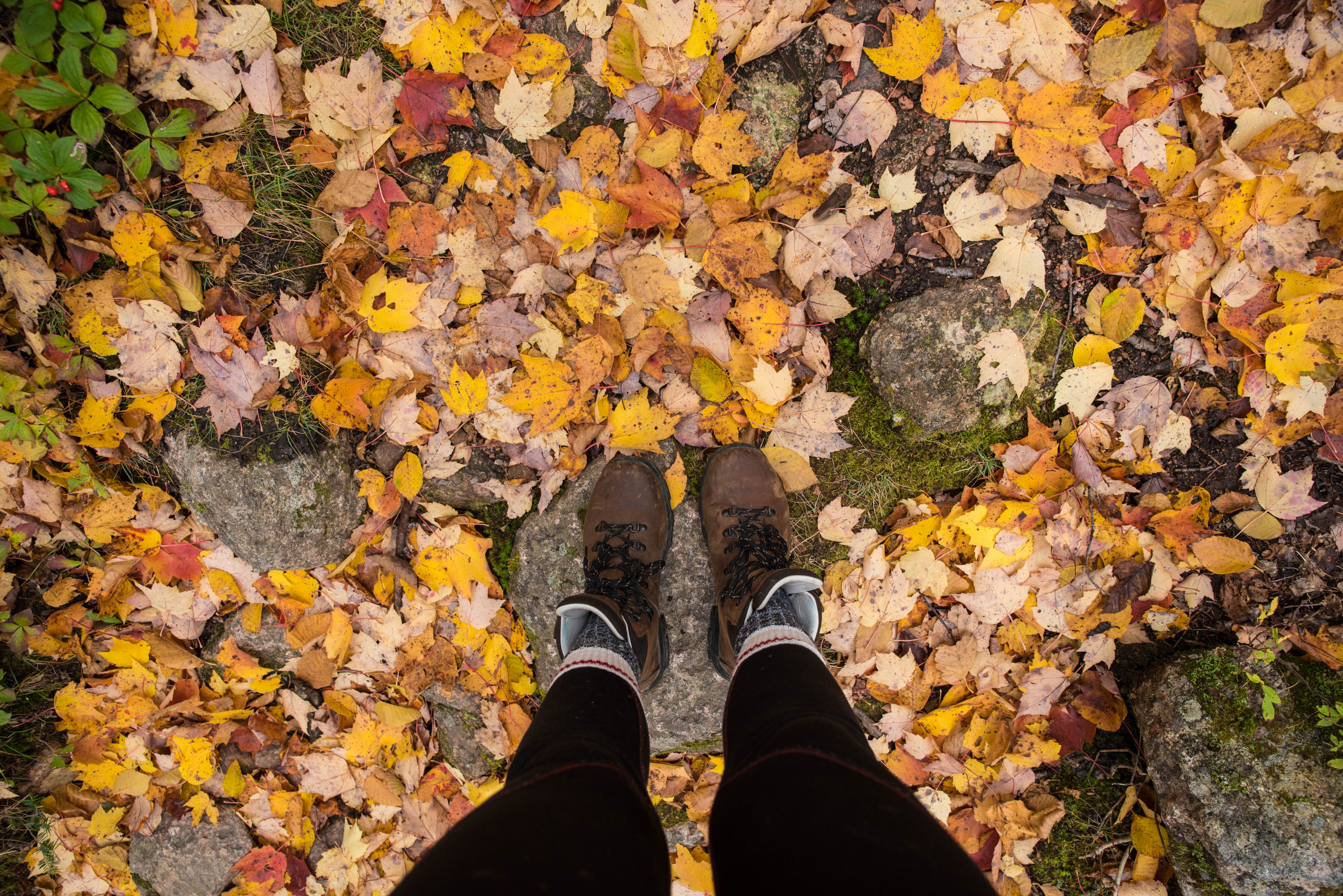 Franey Mountain Loop