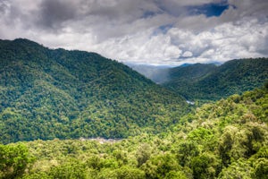 Visit the Mamu Tropical Skywalk