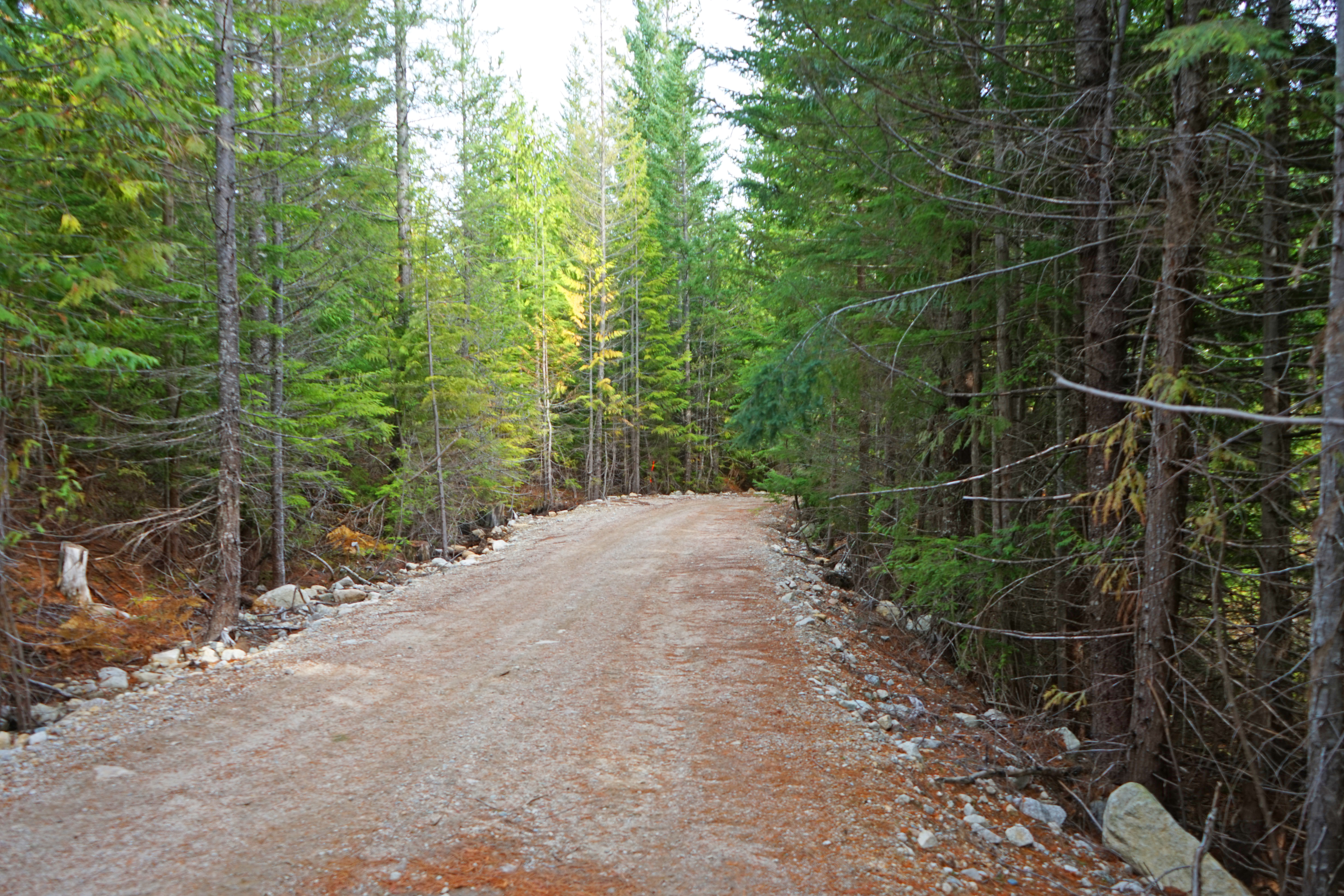 Al's Habrich Trail