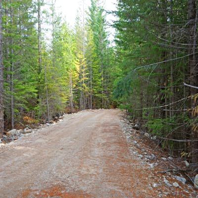 Hike Al's Habrich Trail