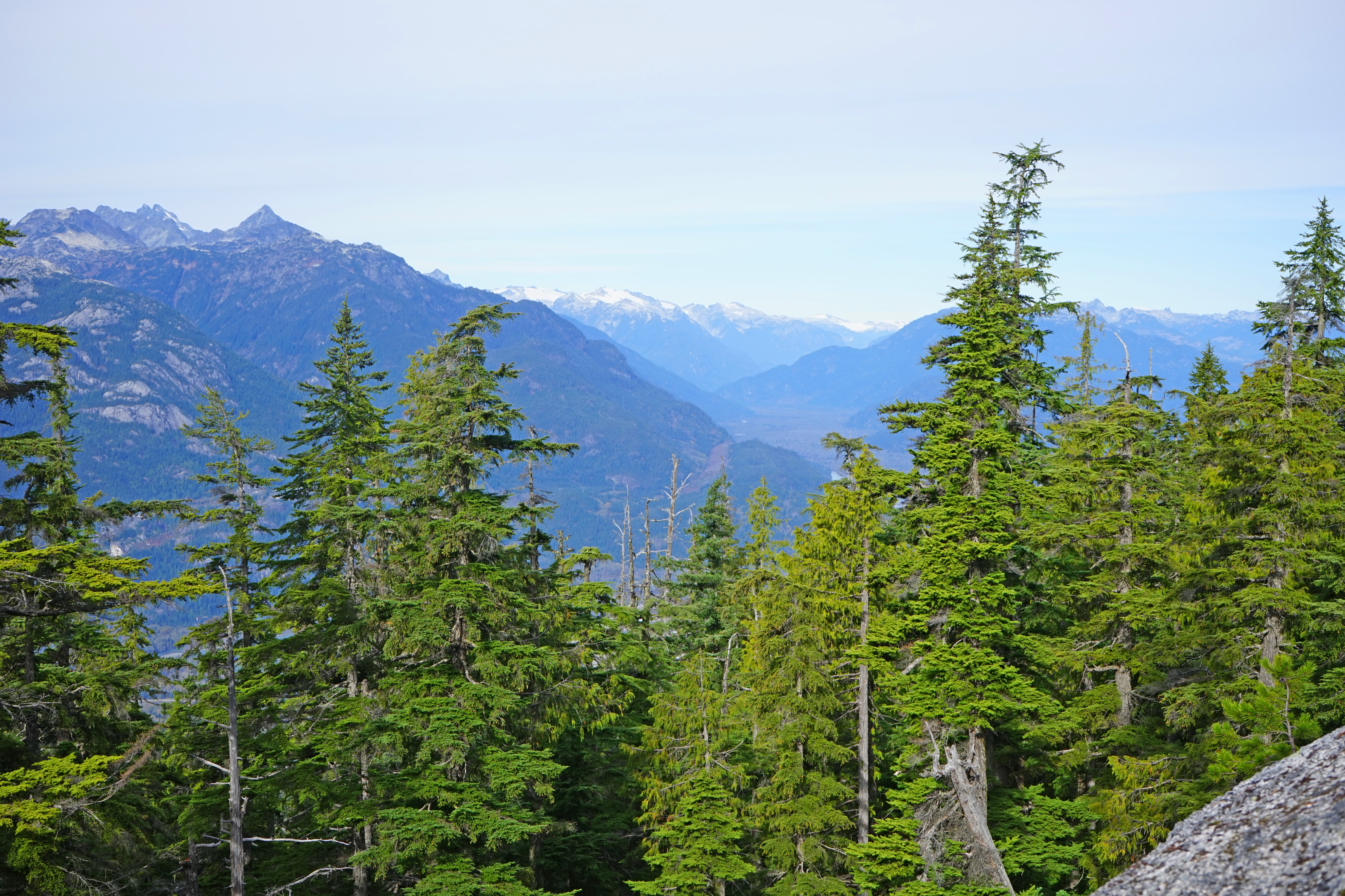 Al's Habrich Trail