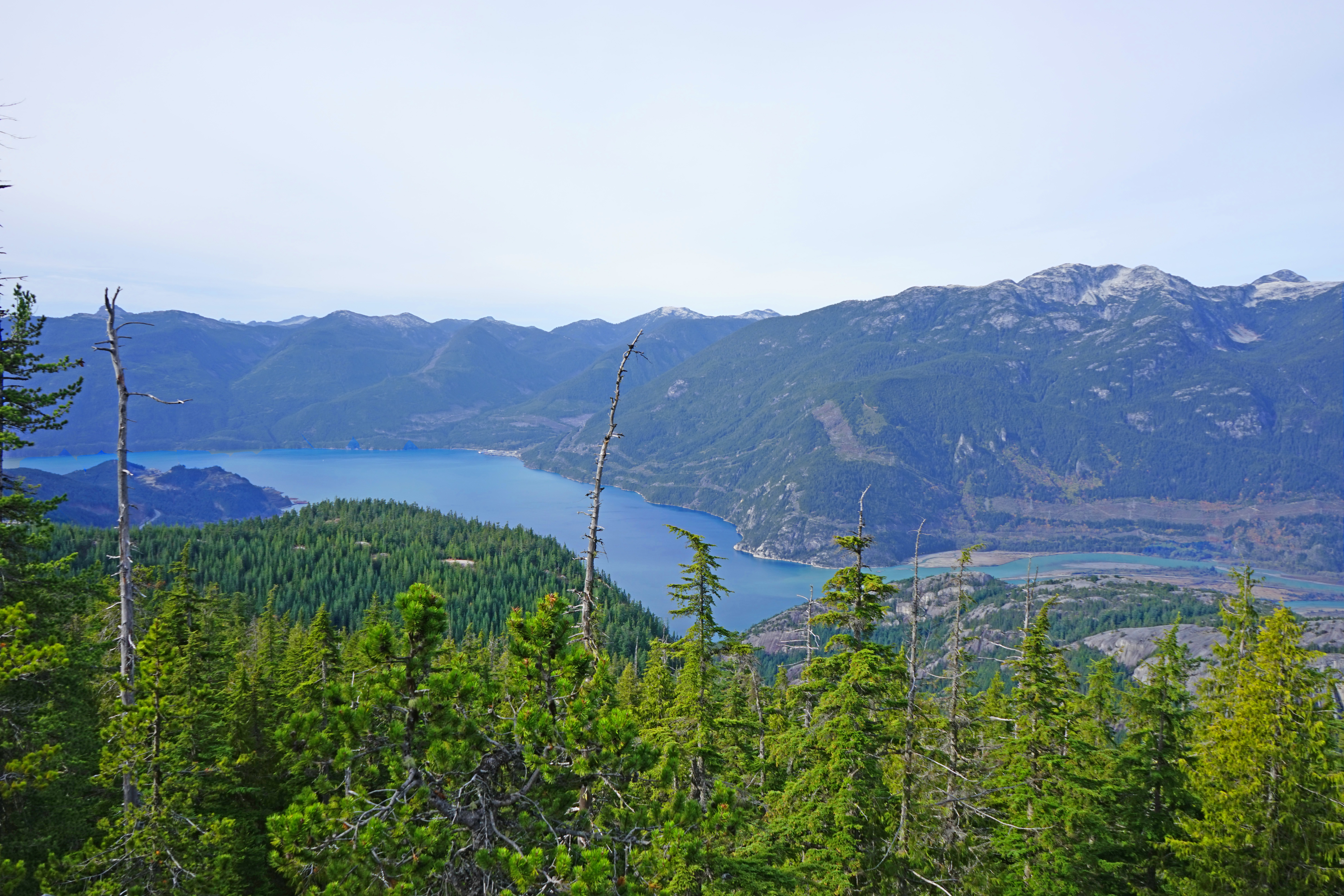 Al's Habrich Trail