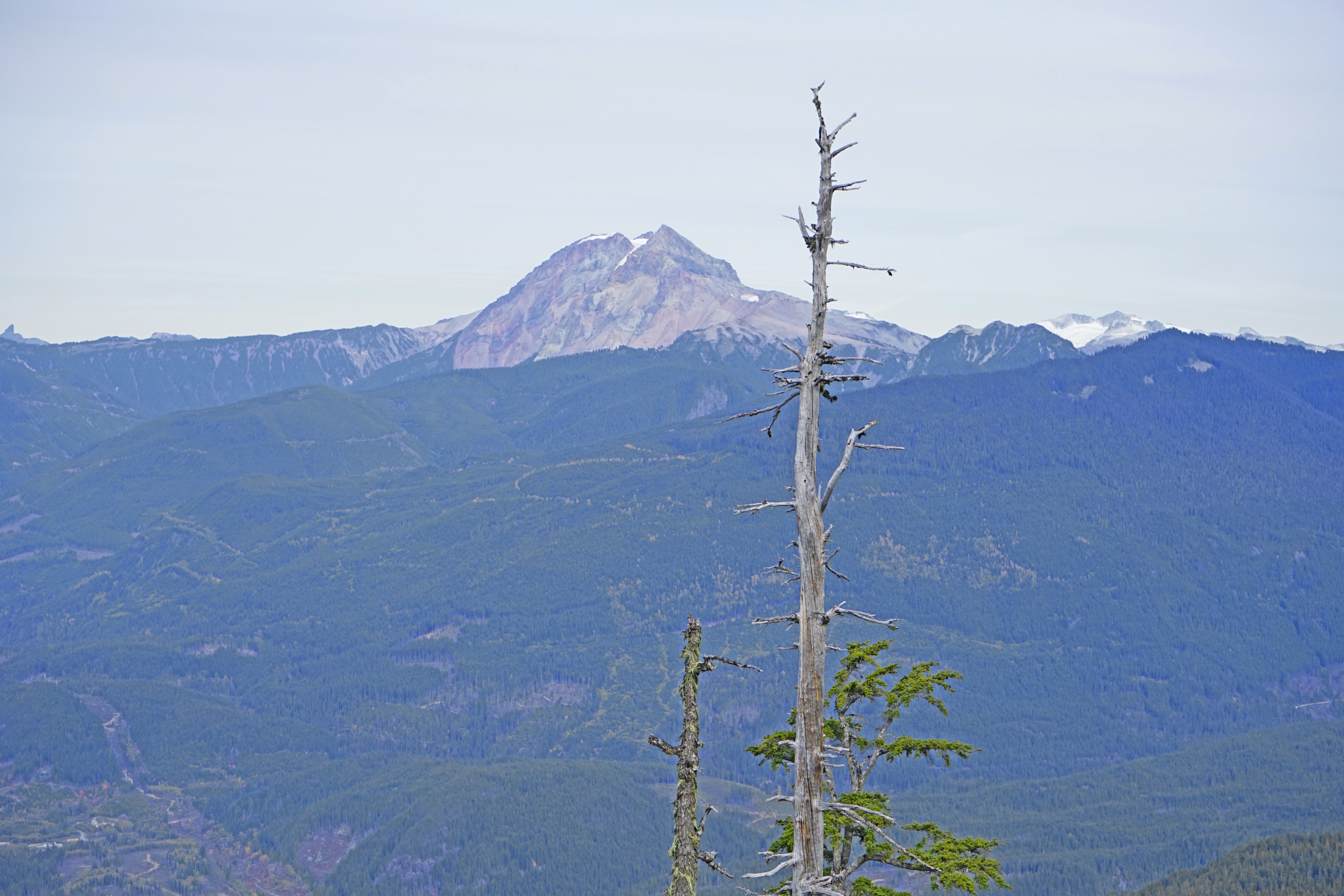 Al's Habrich Trail