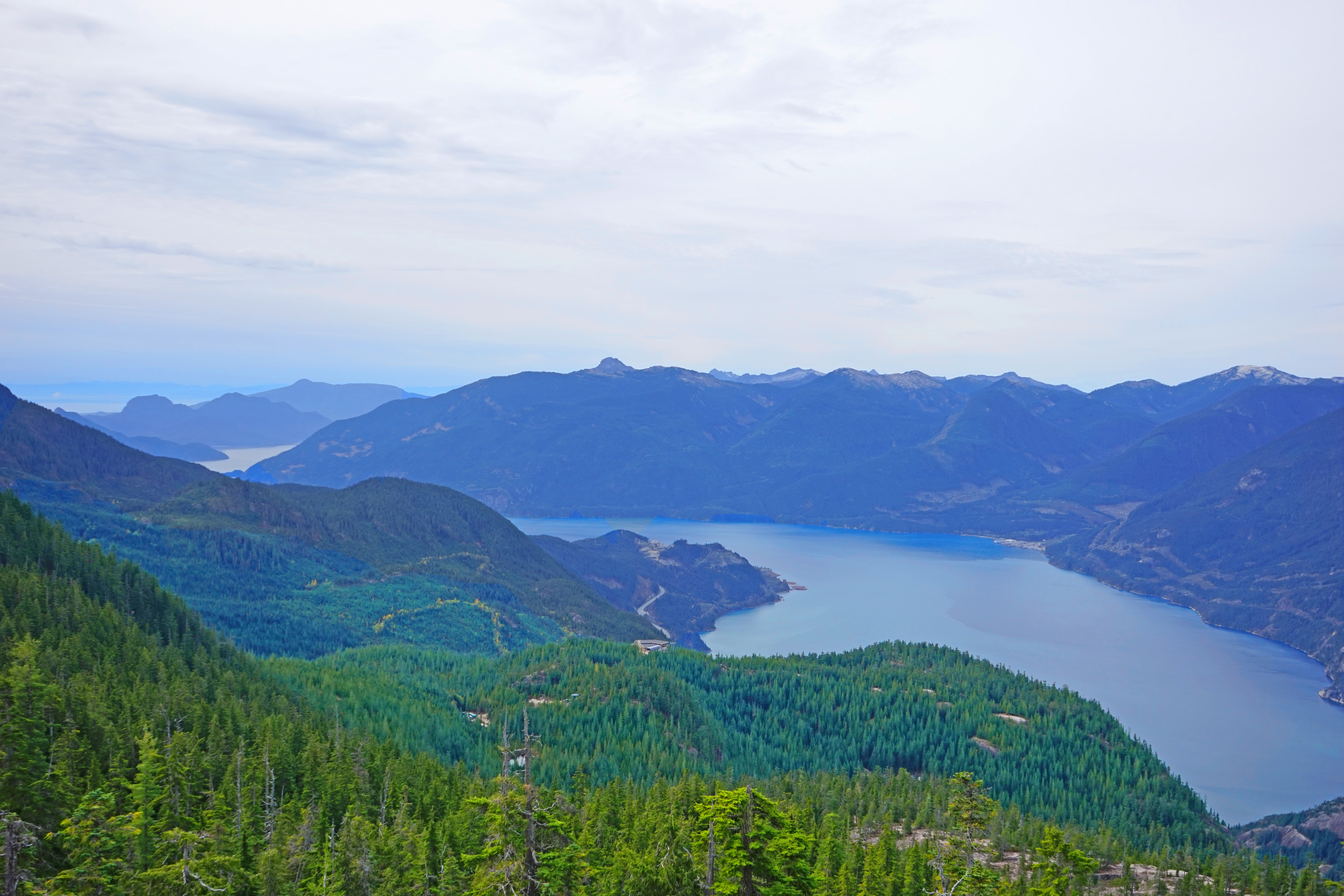 Al's Habrich Trail