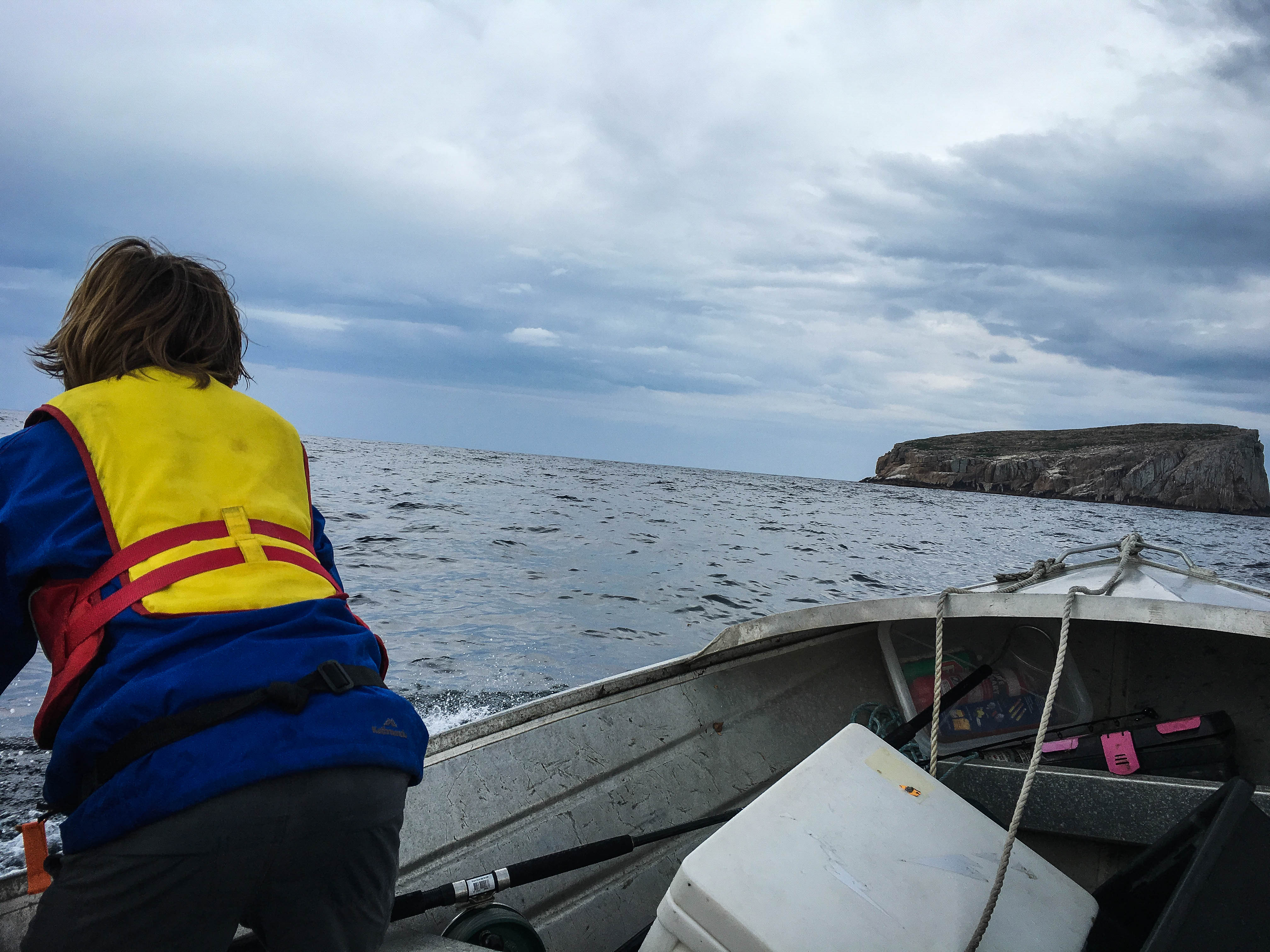 Photograph the Tasman Peninsula by Boat