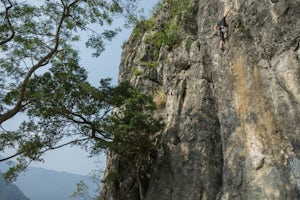 Rock Climb in Río Blanco