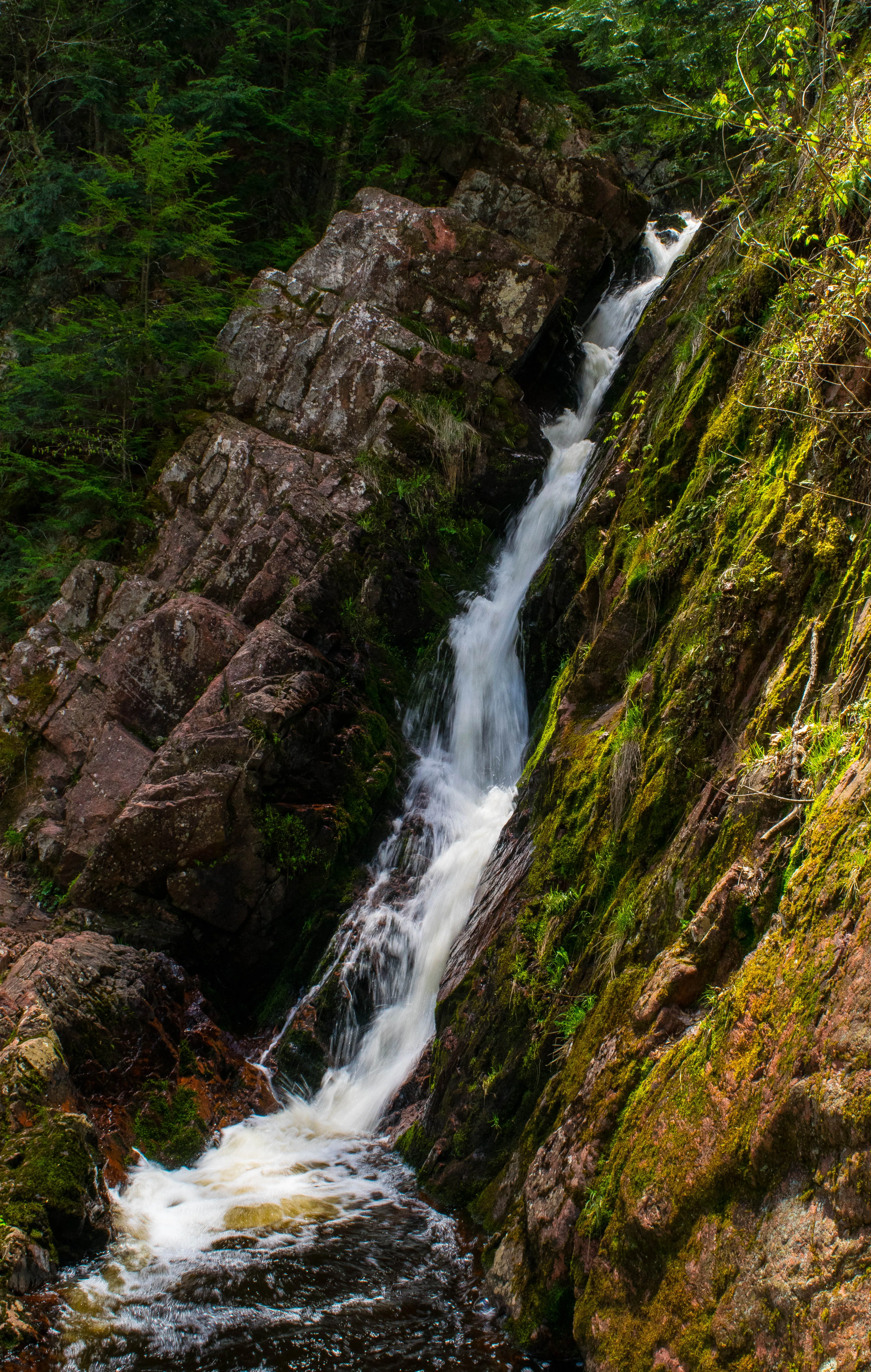 Hike to Morgan Falls