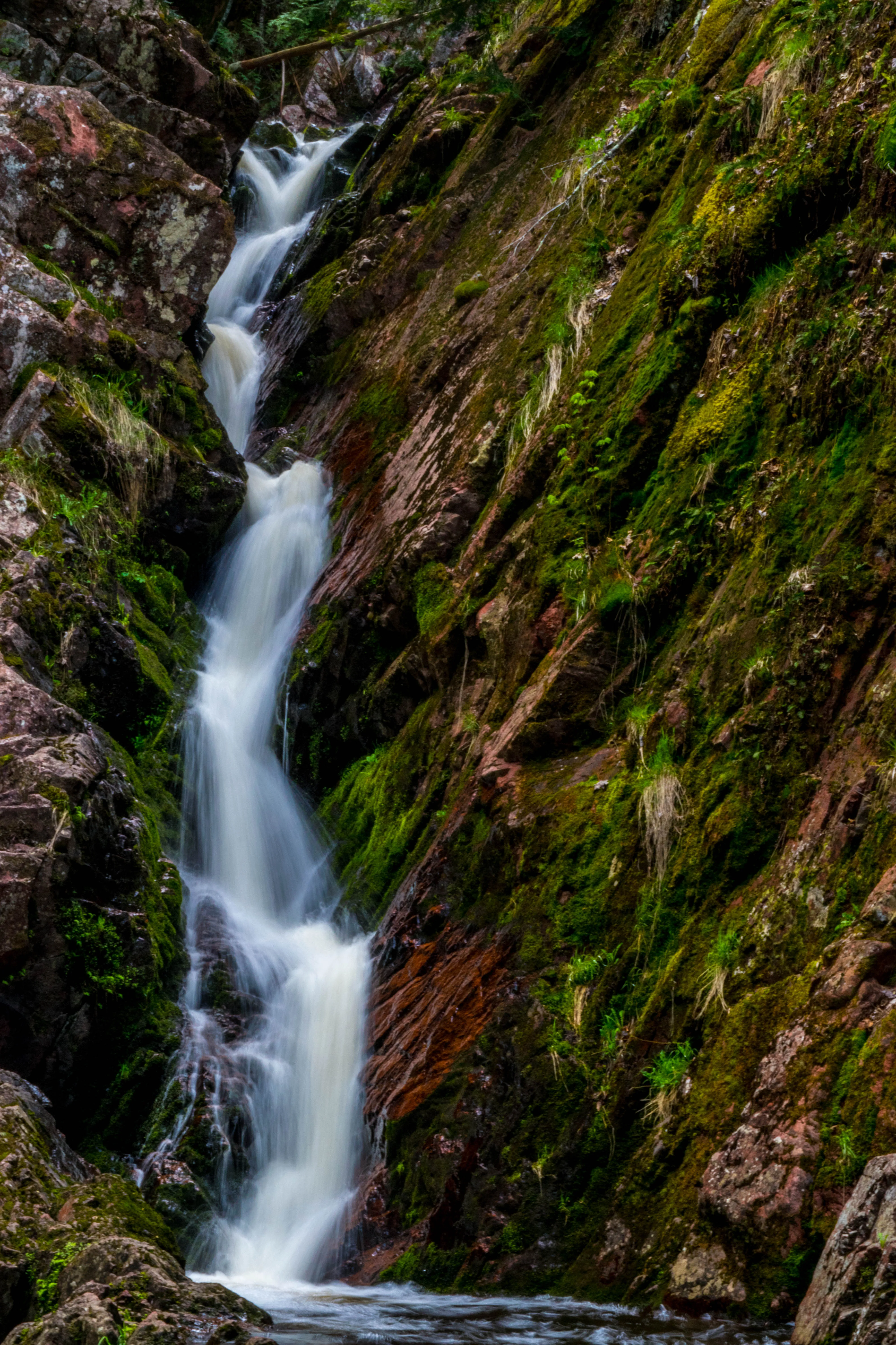 Hike to Morgan Falls