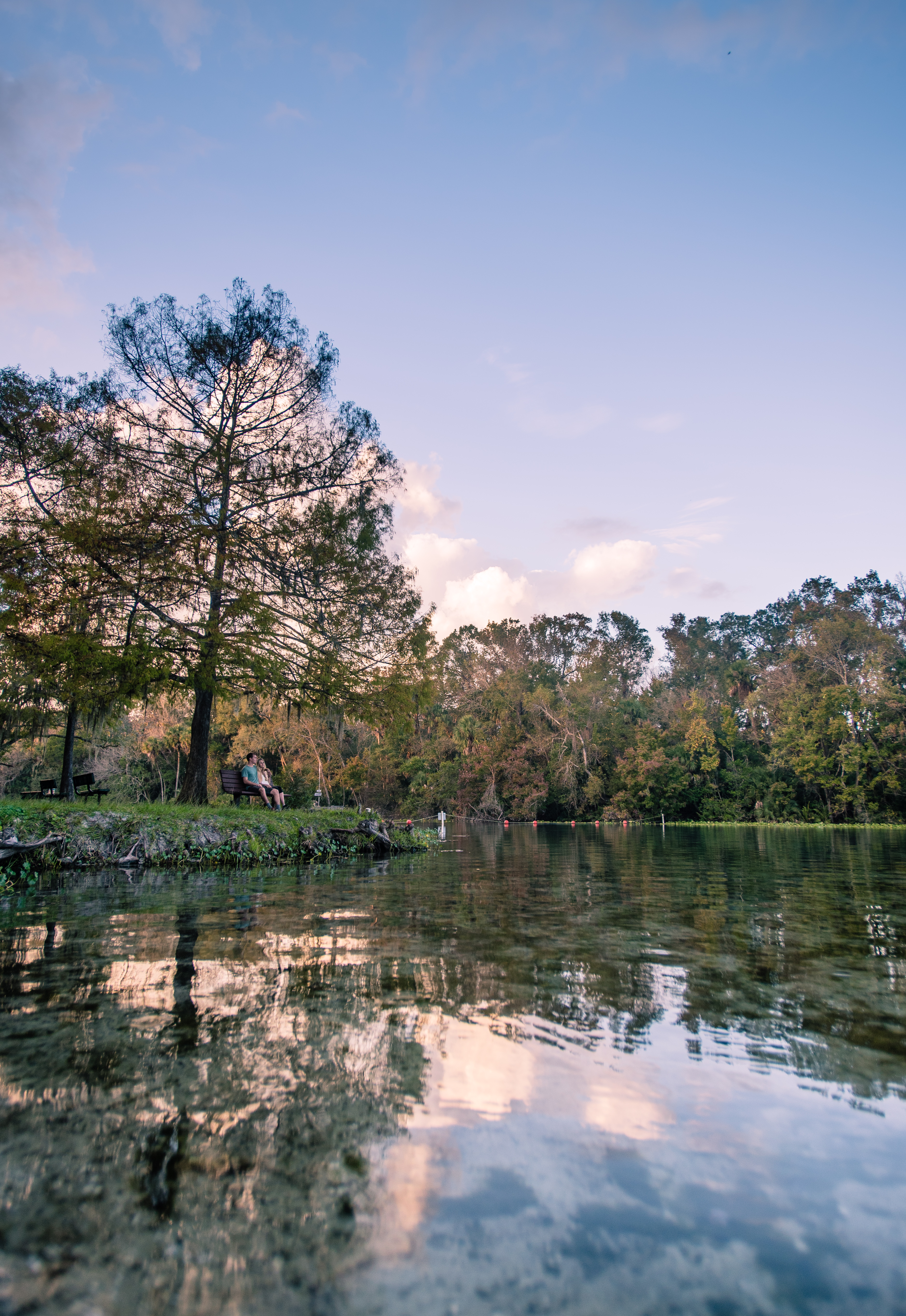 Alexander Springs