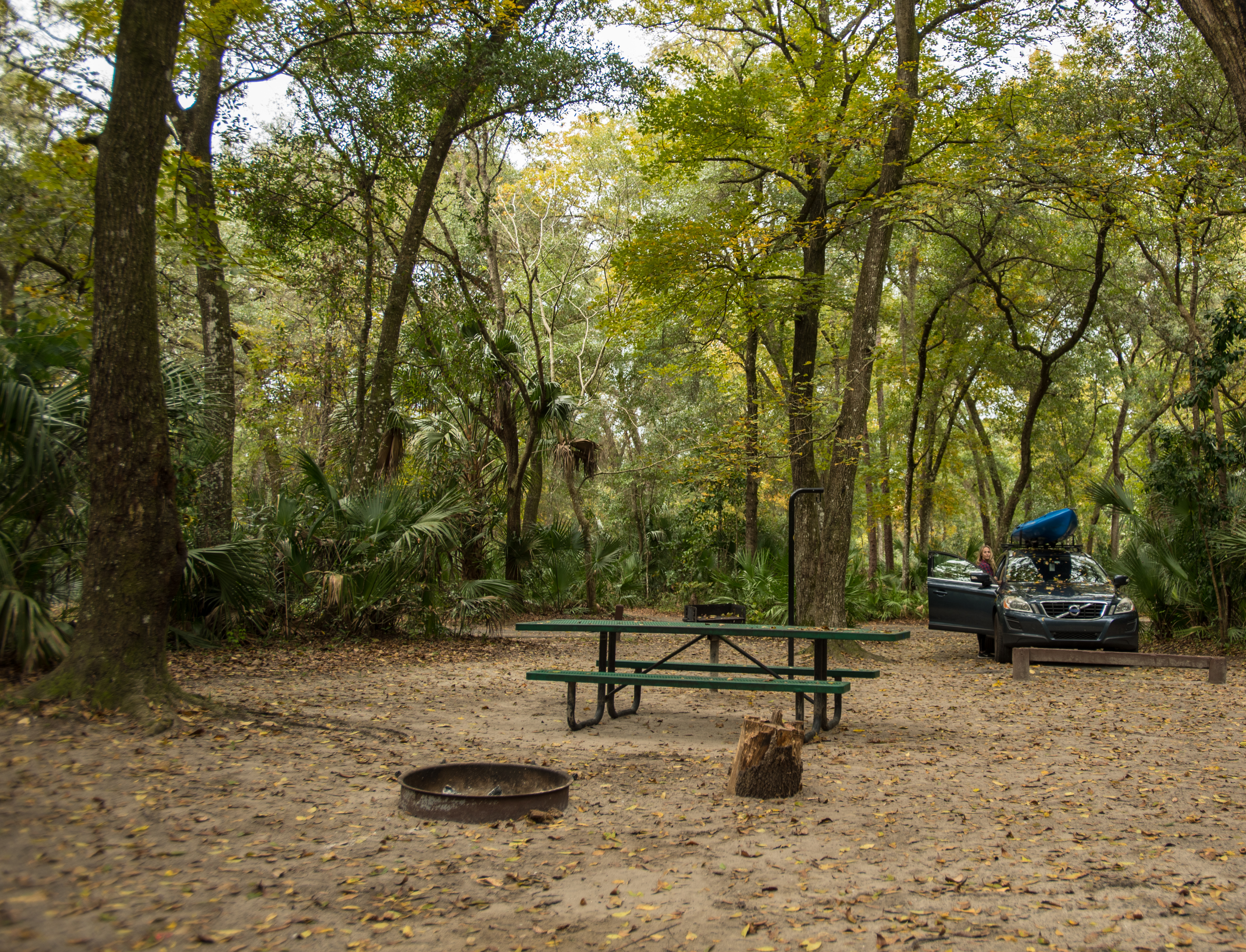 Alexander Springs