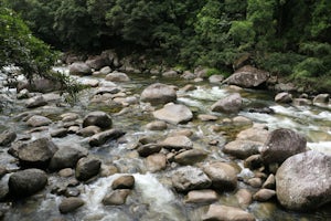 Hike and Swim at Mossman Gorge