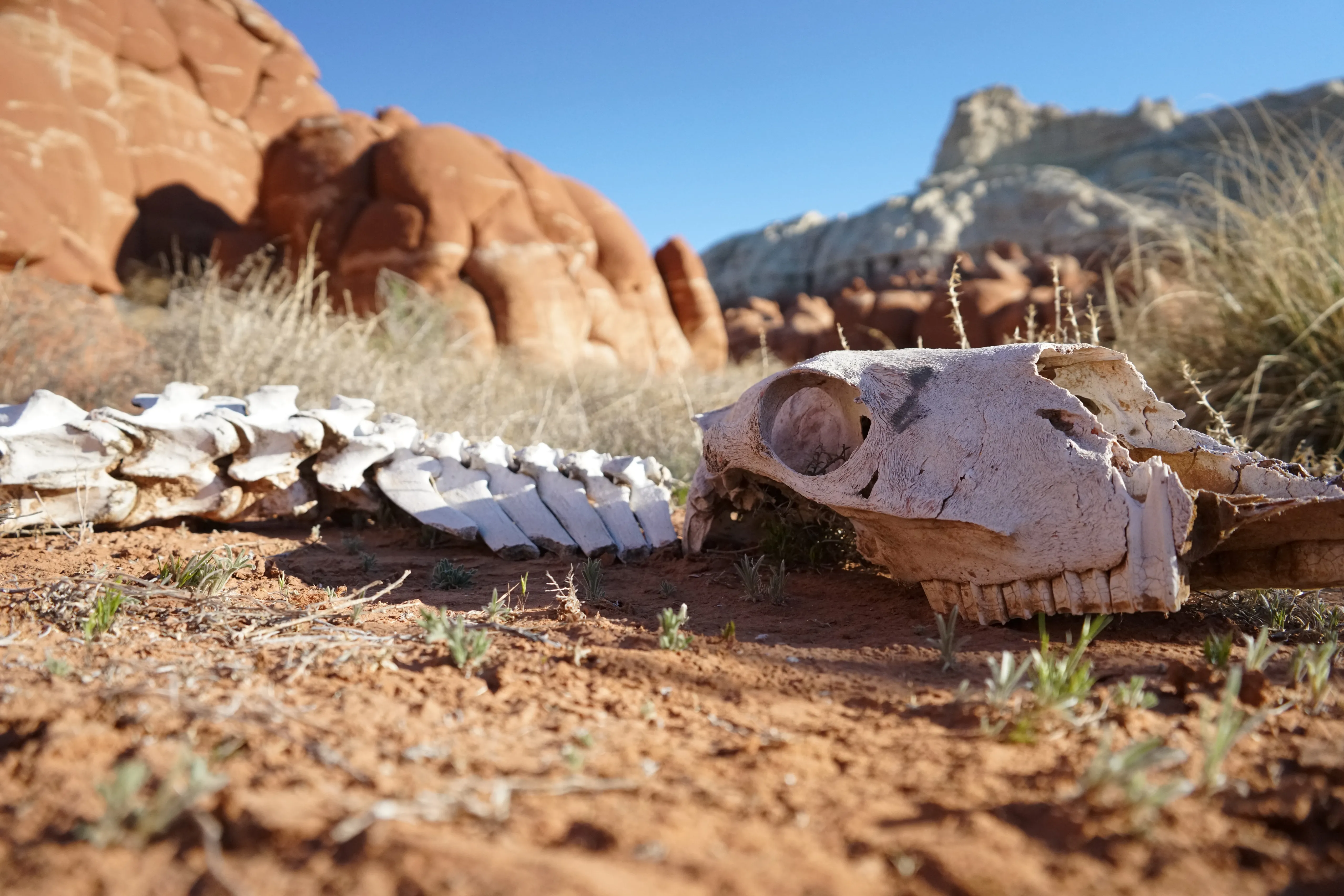 Explore Blue Canyon