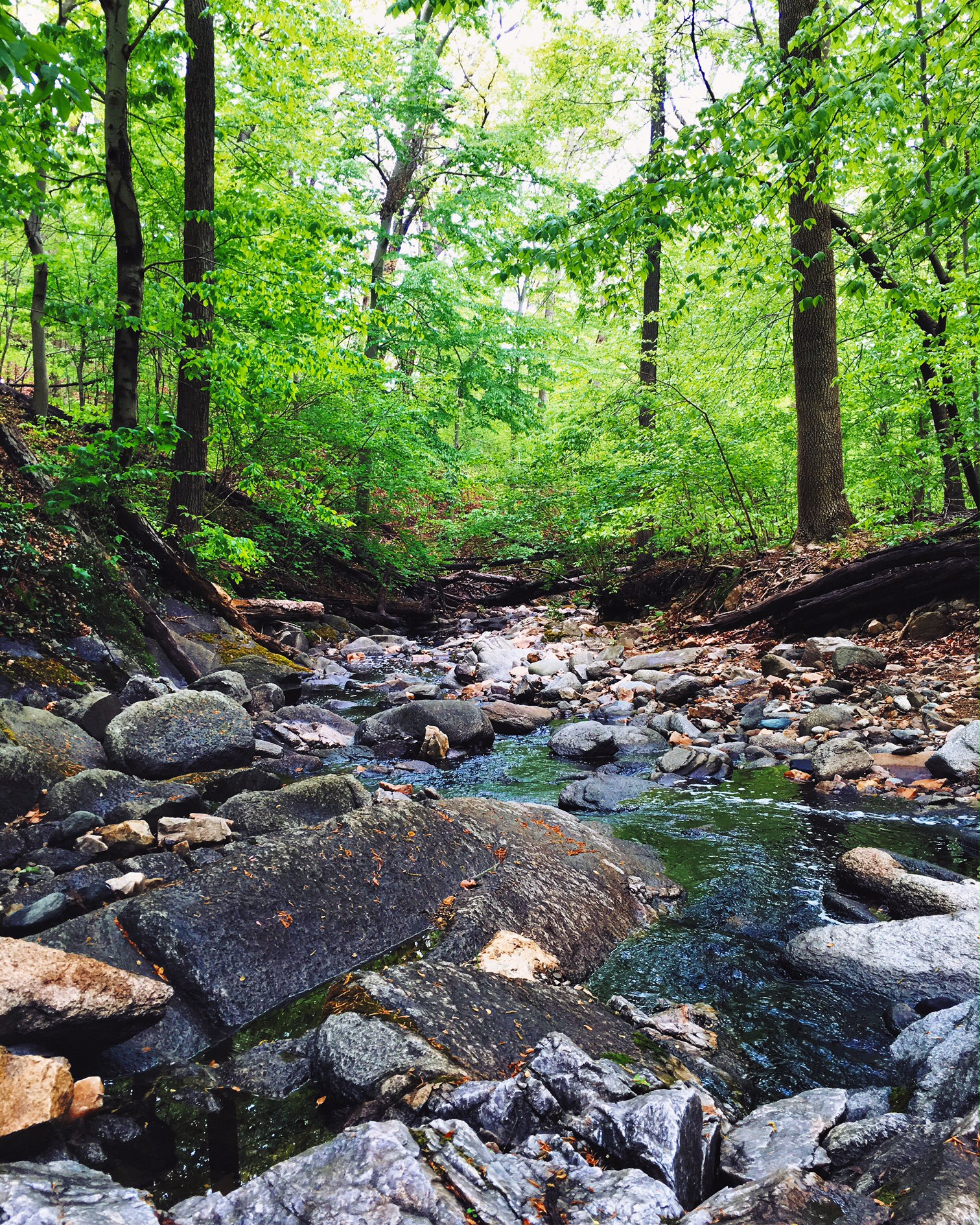 Hike the Soapstone Valley Trail, Washington, District of Columbia