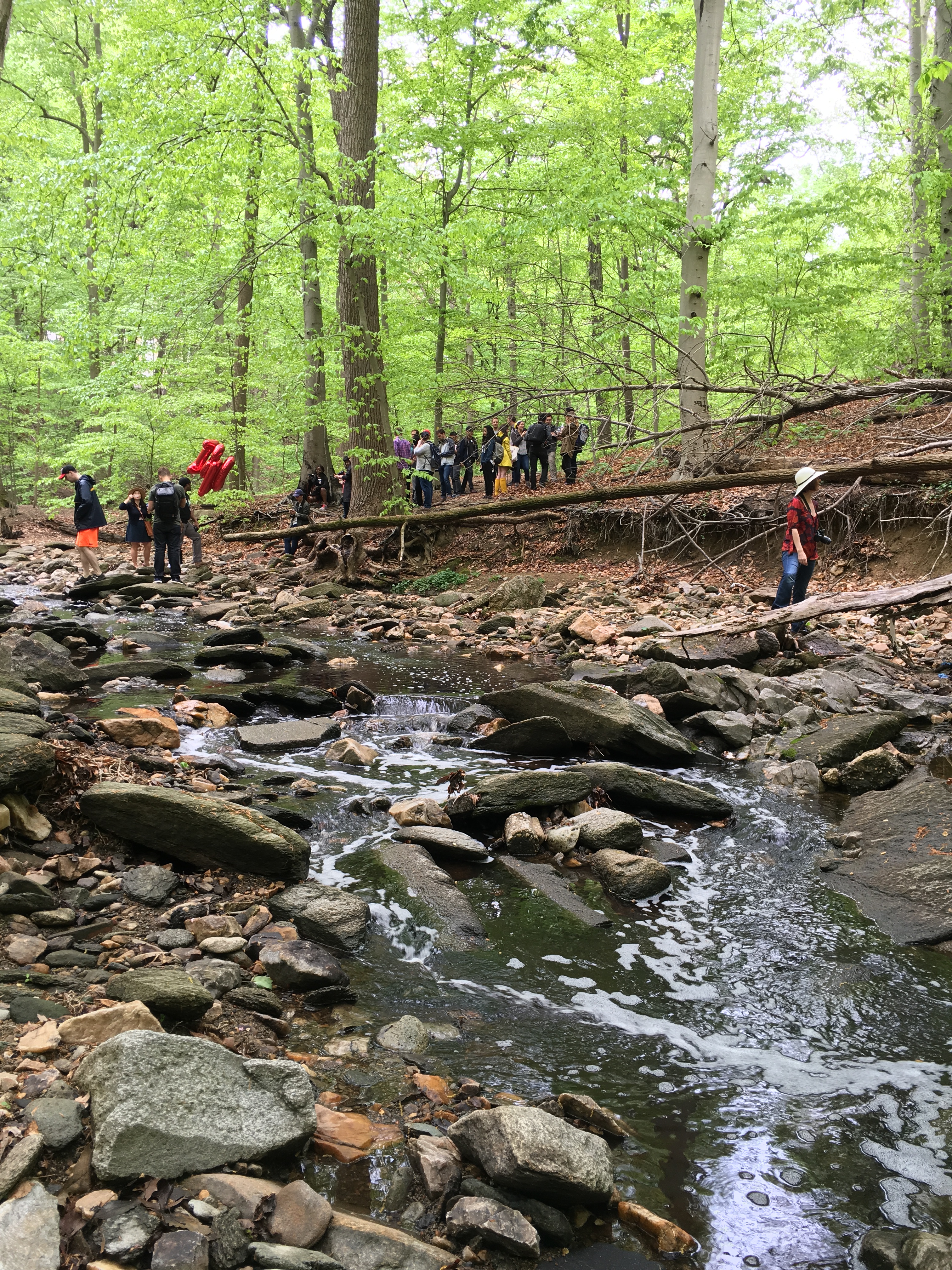 Hike the Soapstone Valley Trail
