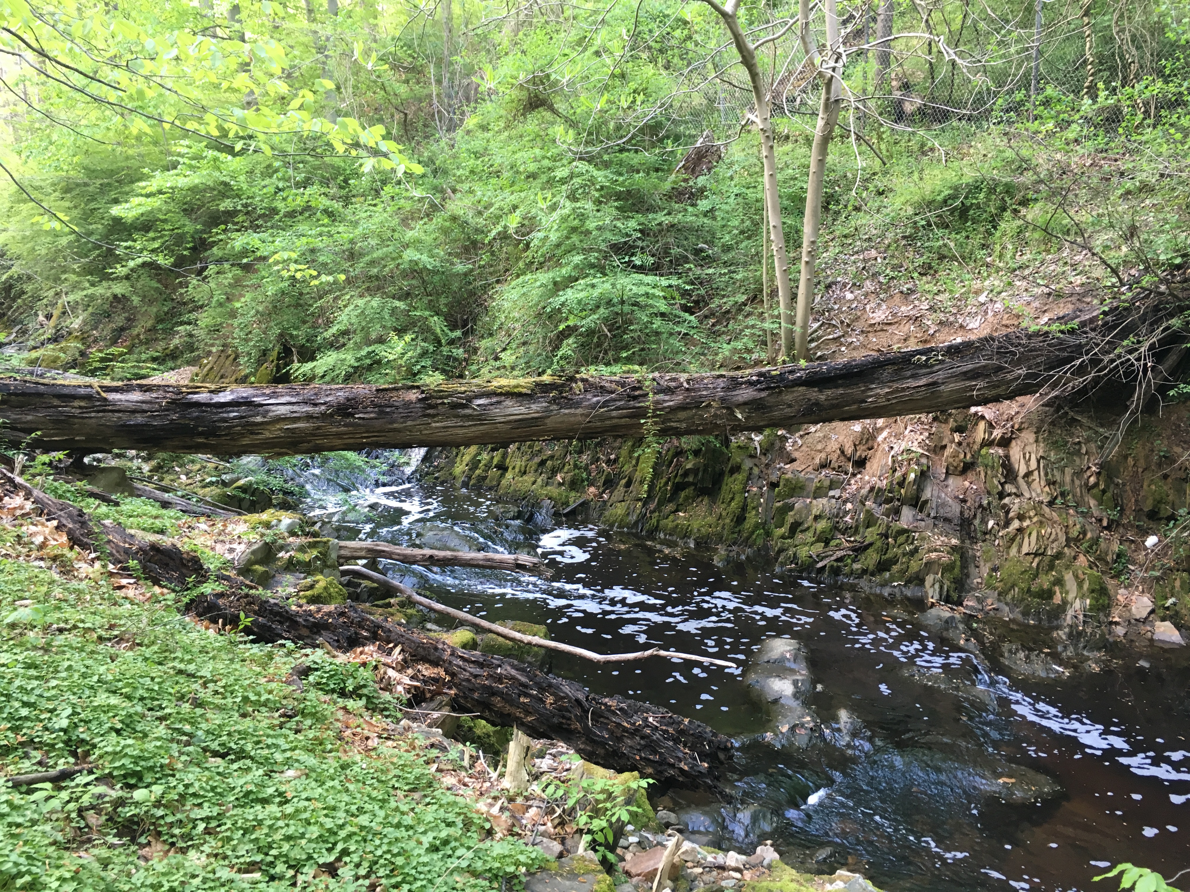 Hike the Soapstone Valley Trail