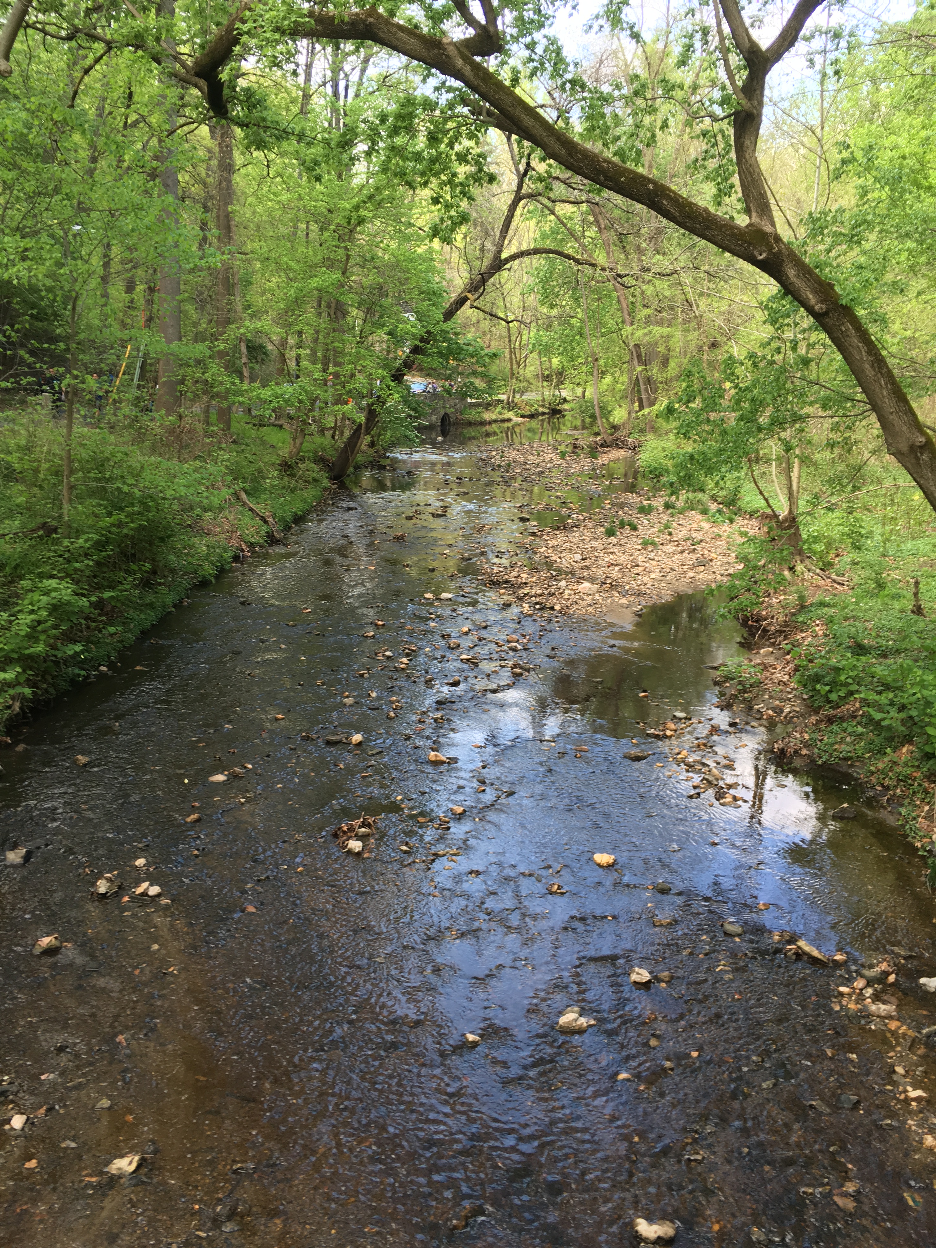 Hike the Soapstone Valley Trail