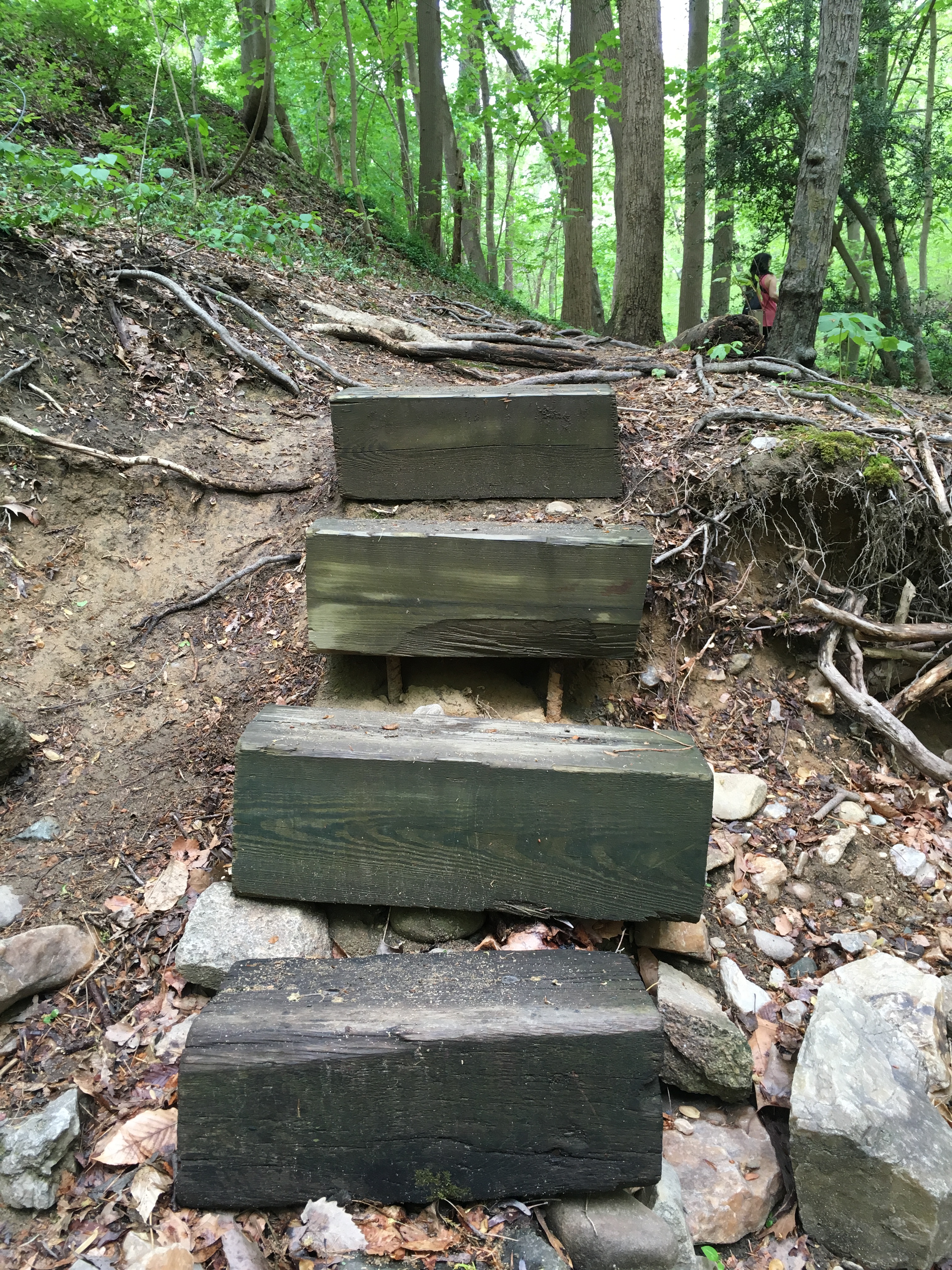 Hike the Soapstone Valley Trail