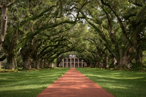 Explore the Oak Alley Plantation