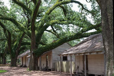 Explore the Oak Alley Plantation