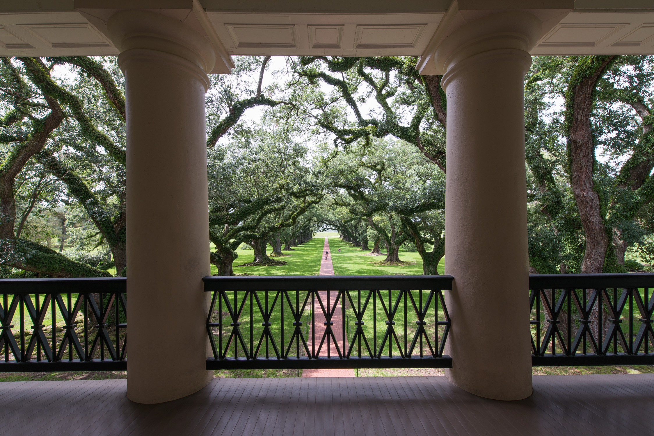 Explore the Oak Alley Plantation