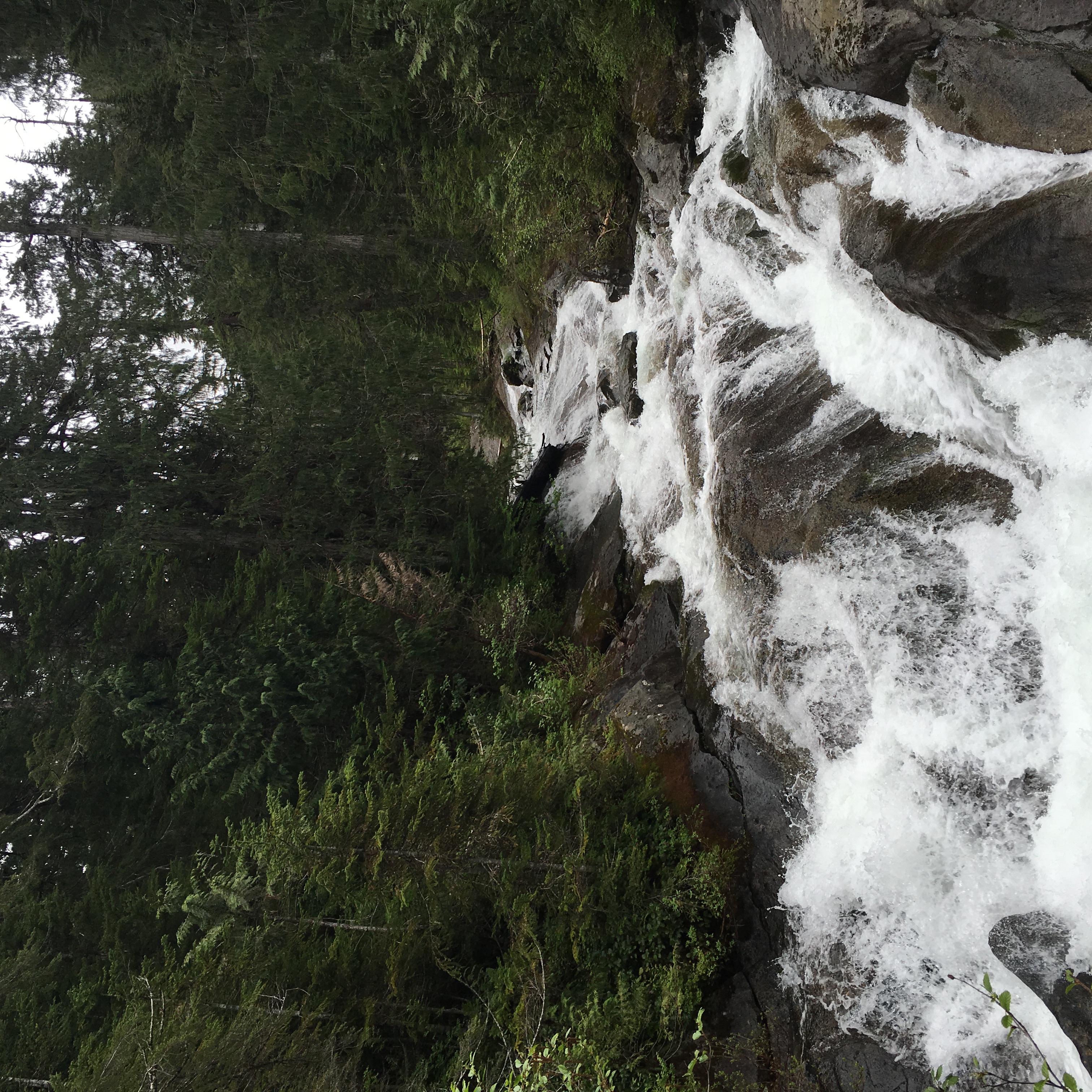 Lake Dorothy Trail