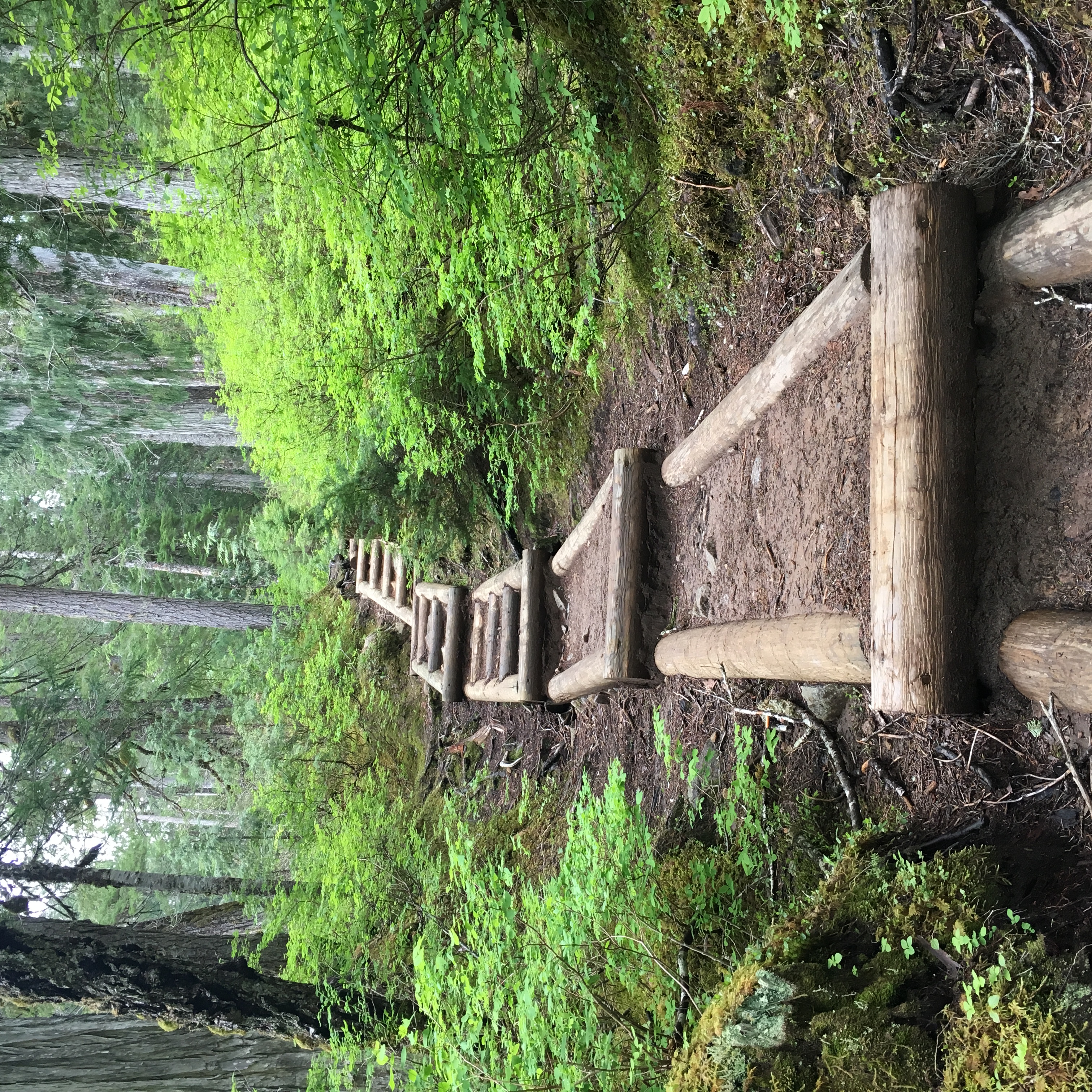 Lake Dorothy Trail