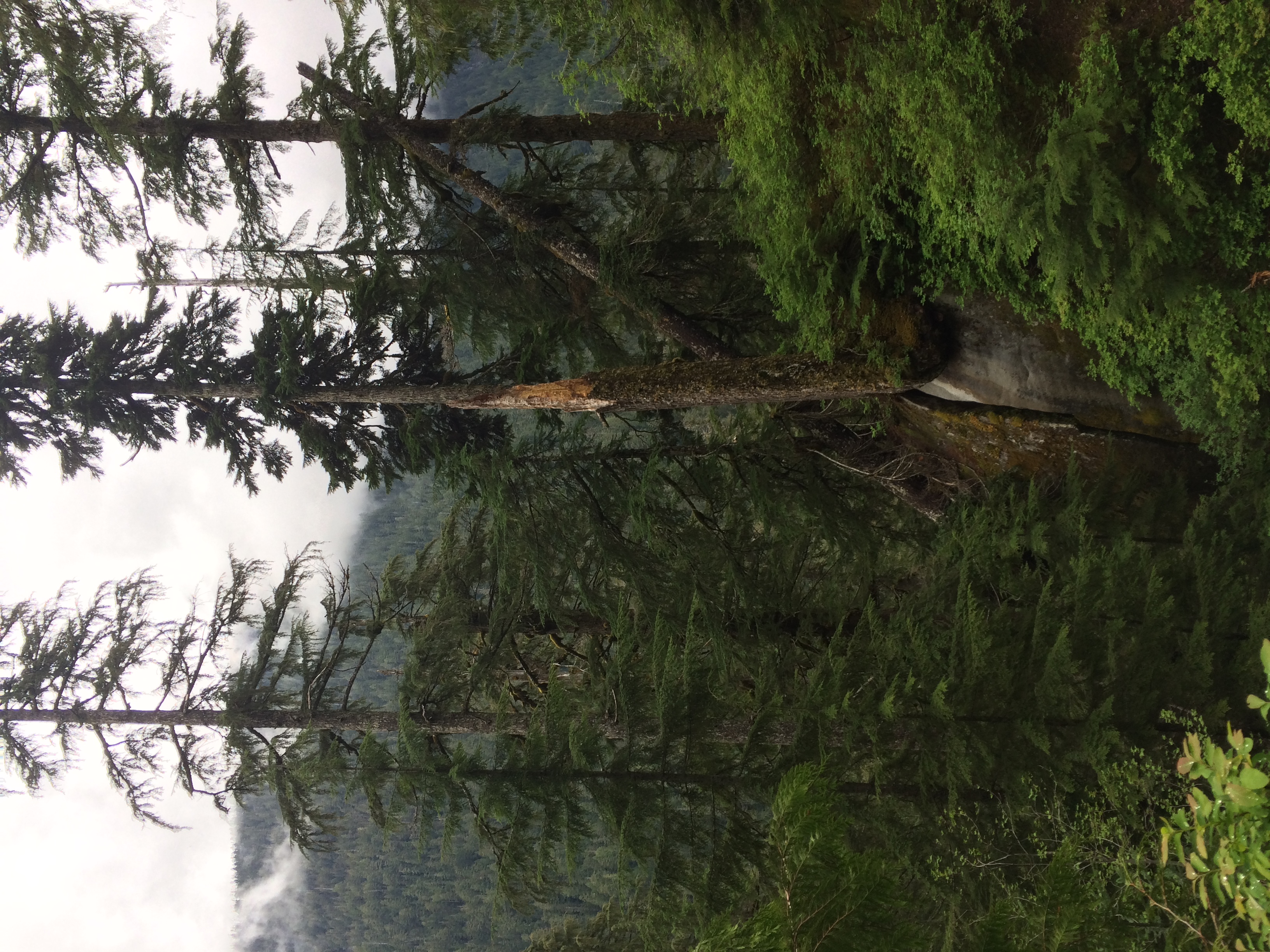 Lake Dorothy Trail