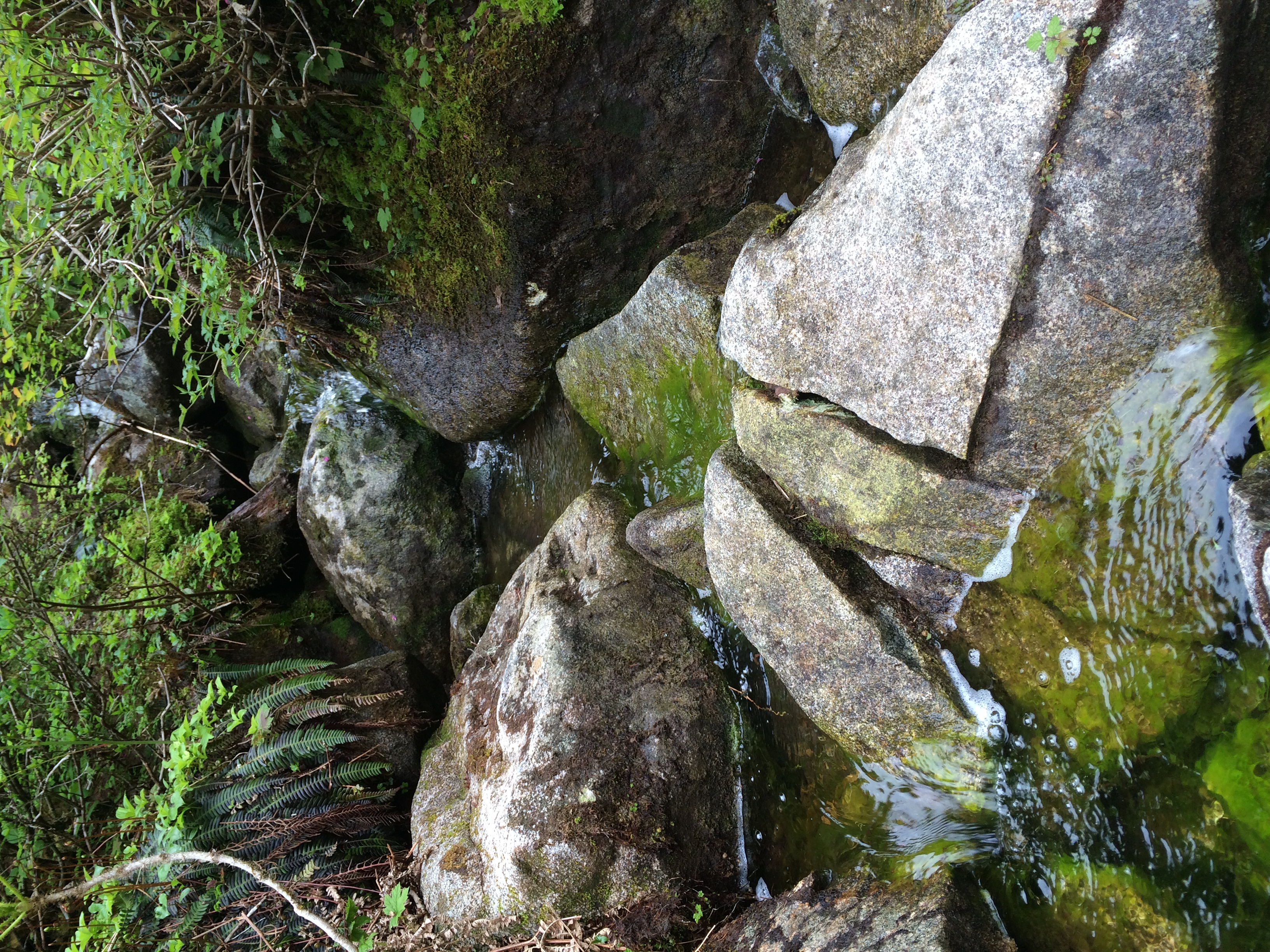 Lake Dorothy Trail