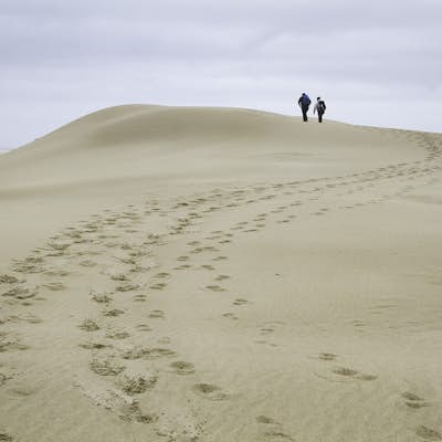 Hike the John Dellenback Dune Trail