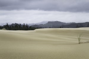 Hike the John Dellenback Dune Trail