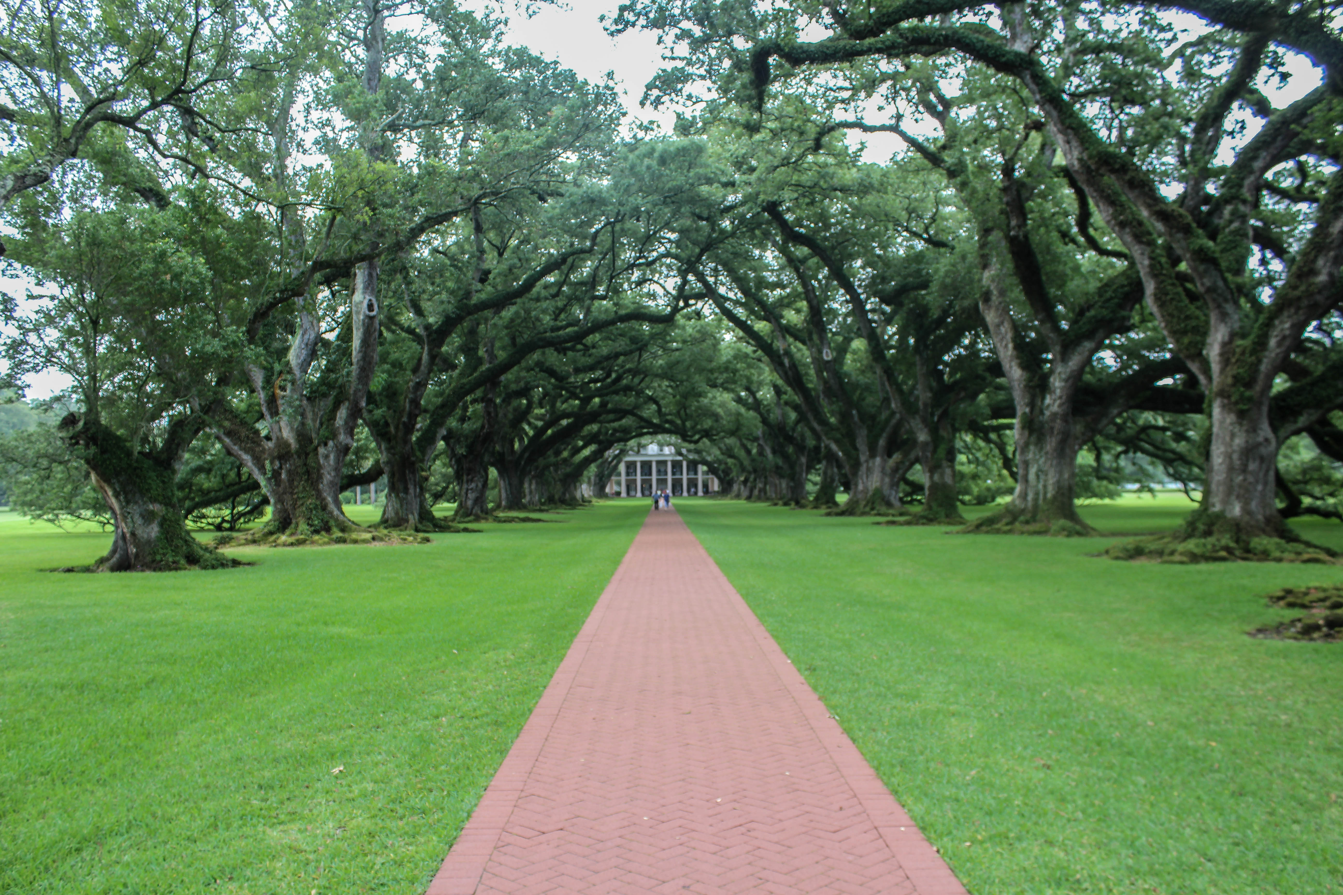 Visit Oak Alley Plantation