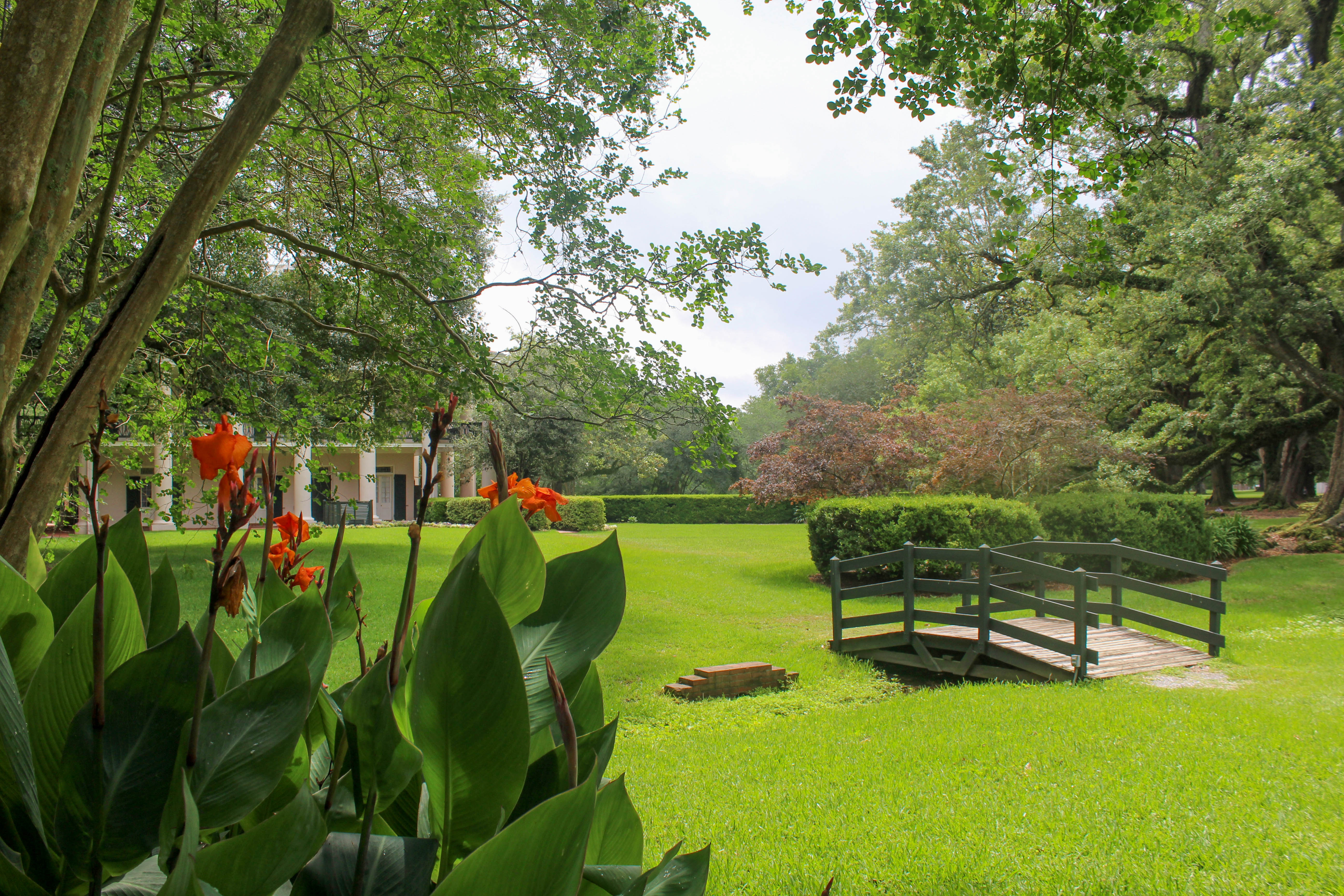 Visit Oak Alley Plantation
