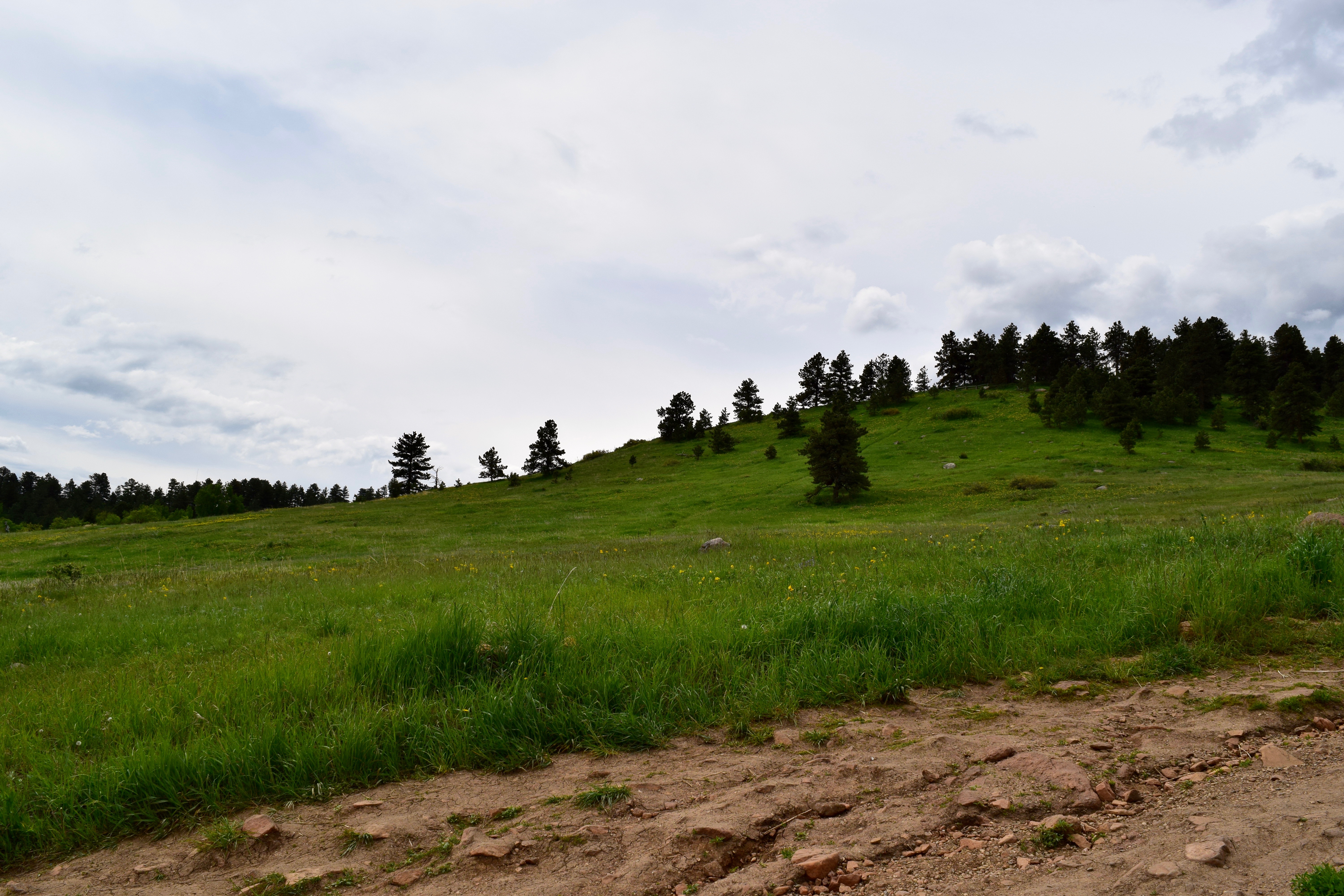 Hike the Chautauqua Trail to the Ski Jump Trail
