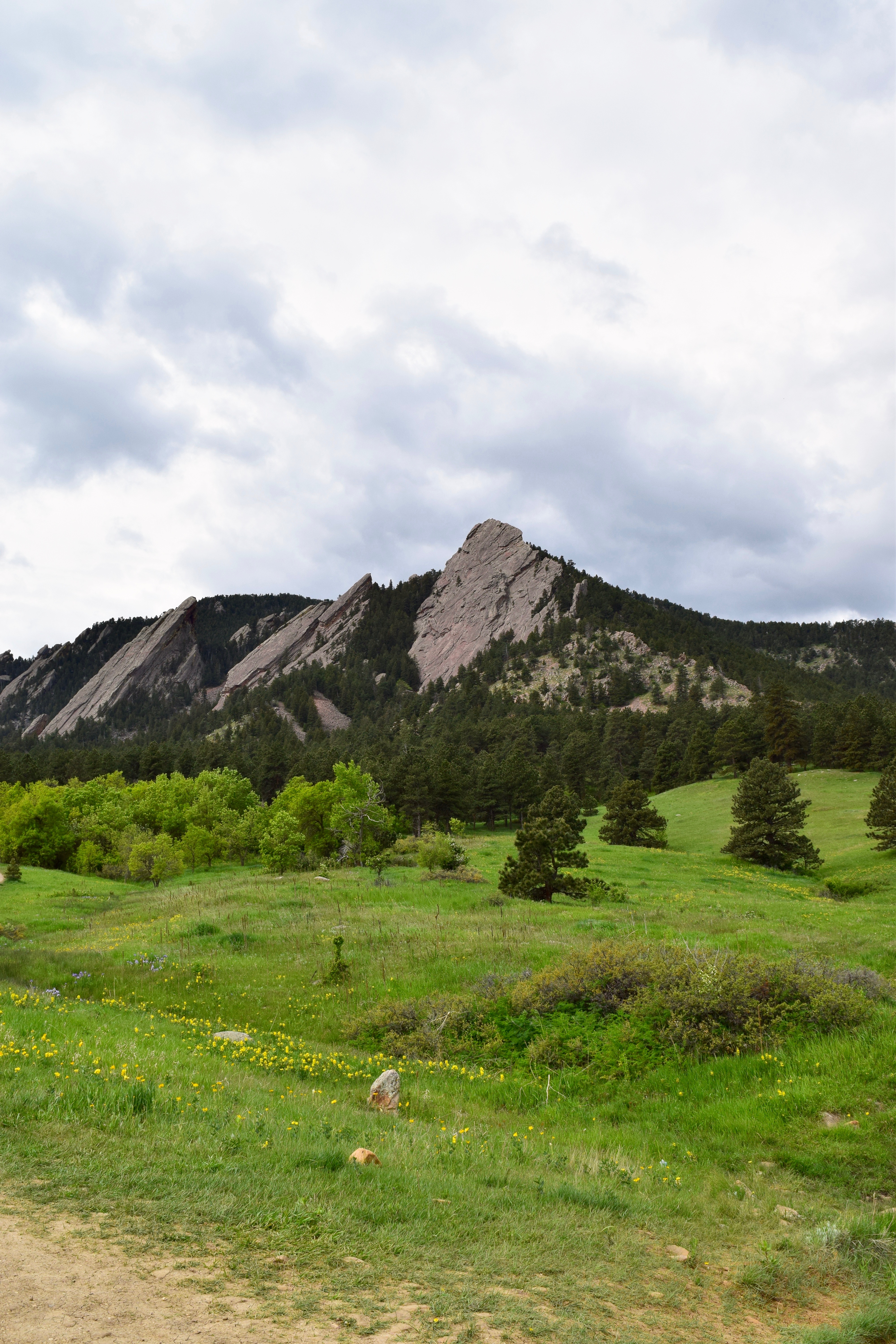 Hike the Chautauqua Trail to the Ski Jump Trail