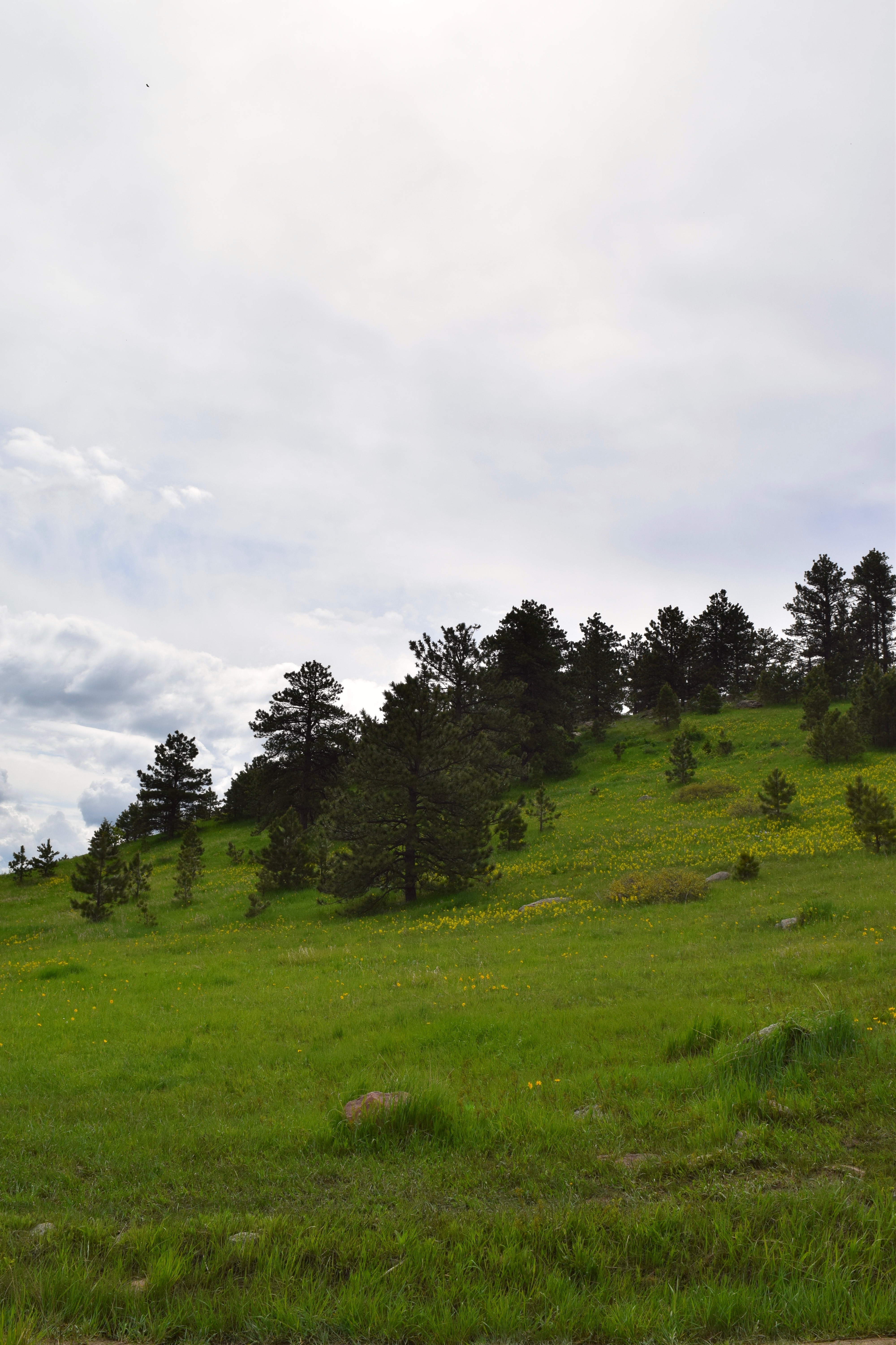 Hike the Chautauqua Trail to the Ski Jump Trail